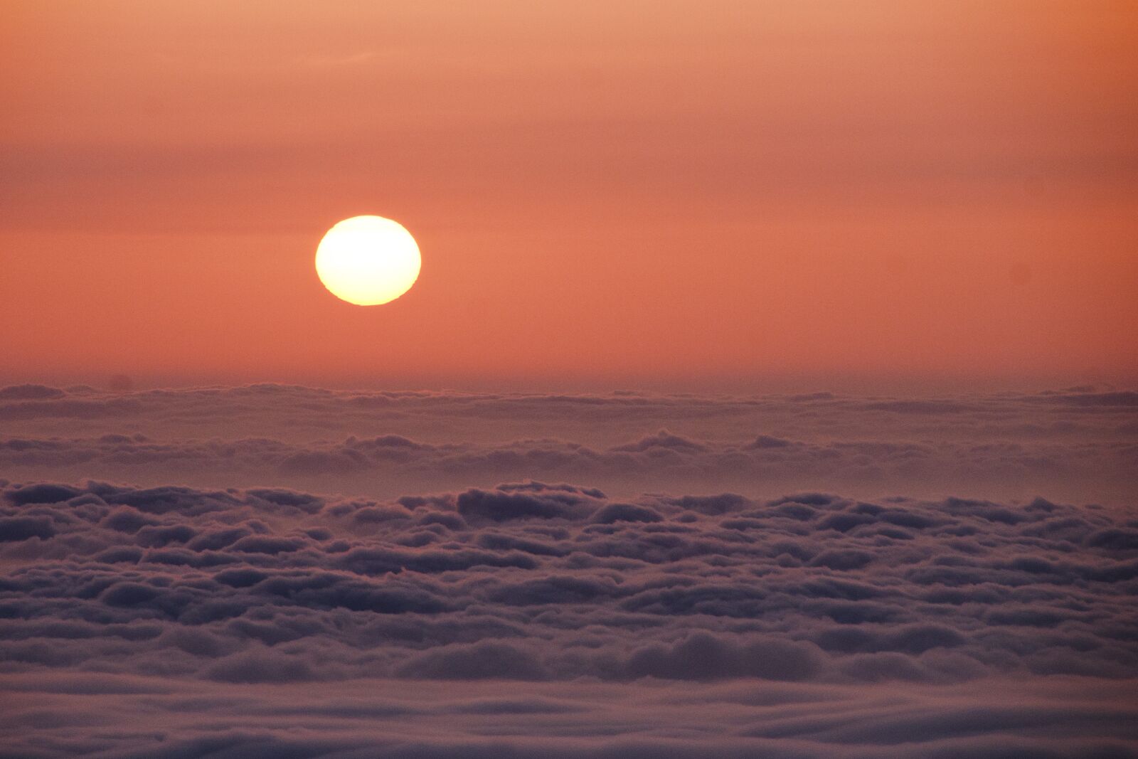 Nikon D300 sample photo. Taishan mountain, clouds, sunrise photography