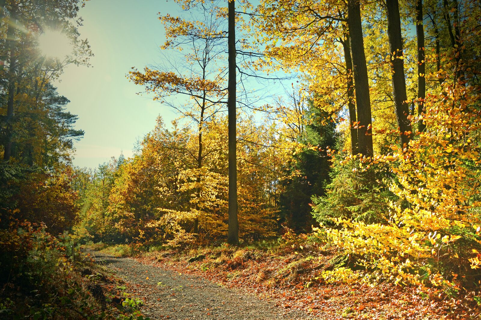 Nikon D3200 sample photo. Landscape, nature, autumn photography
