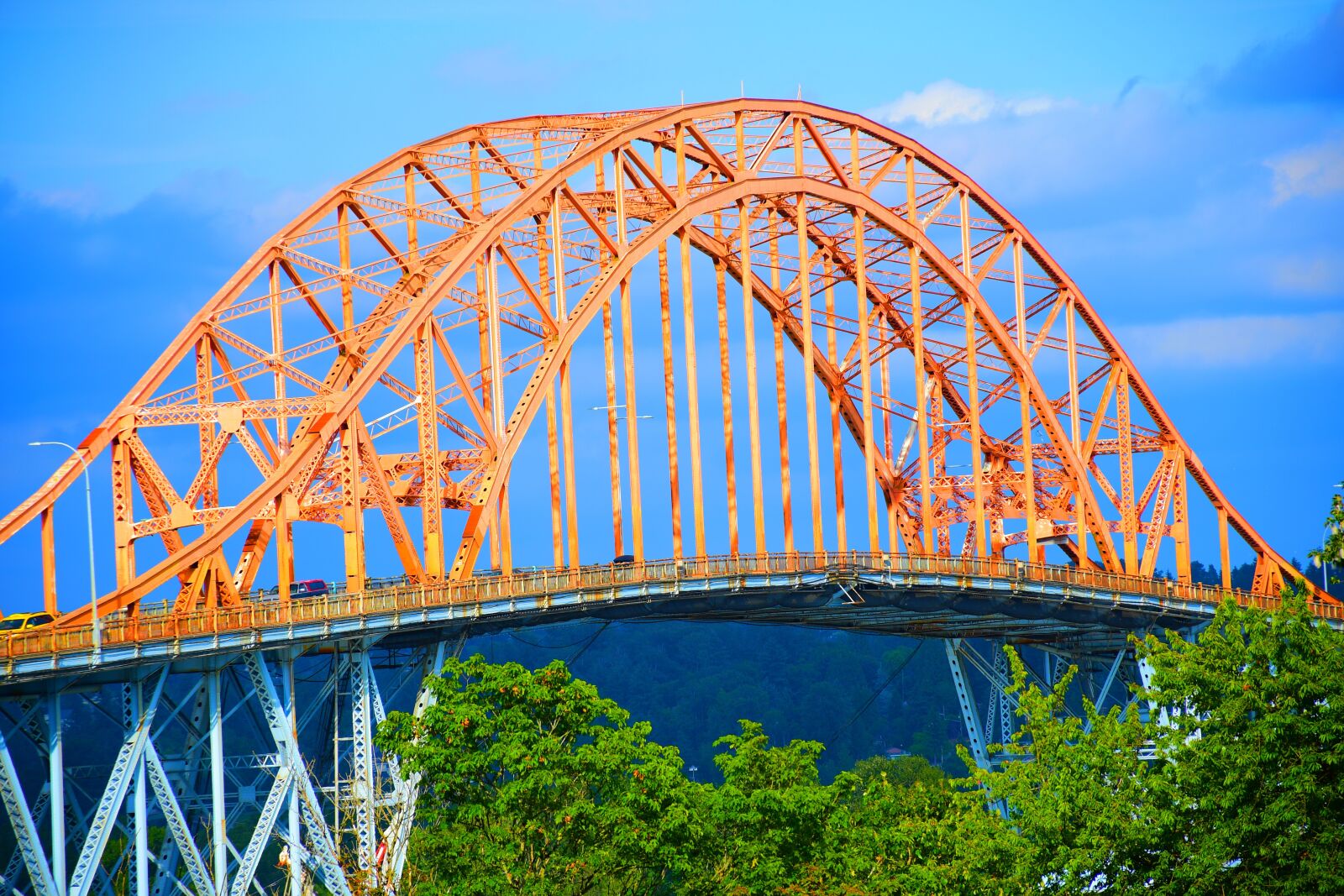 Nikon D7500 sample photo. Through arch bridge, steel photography