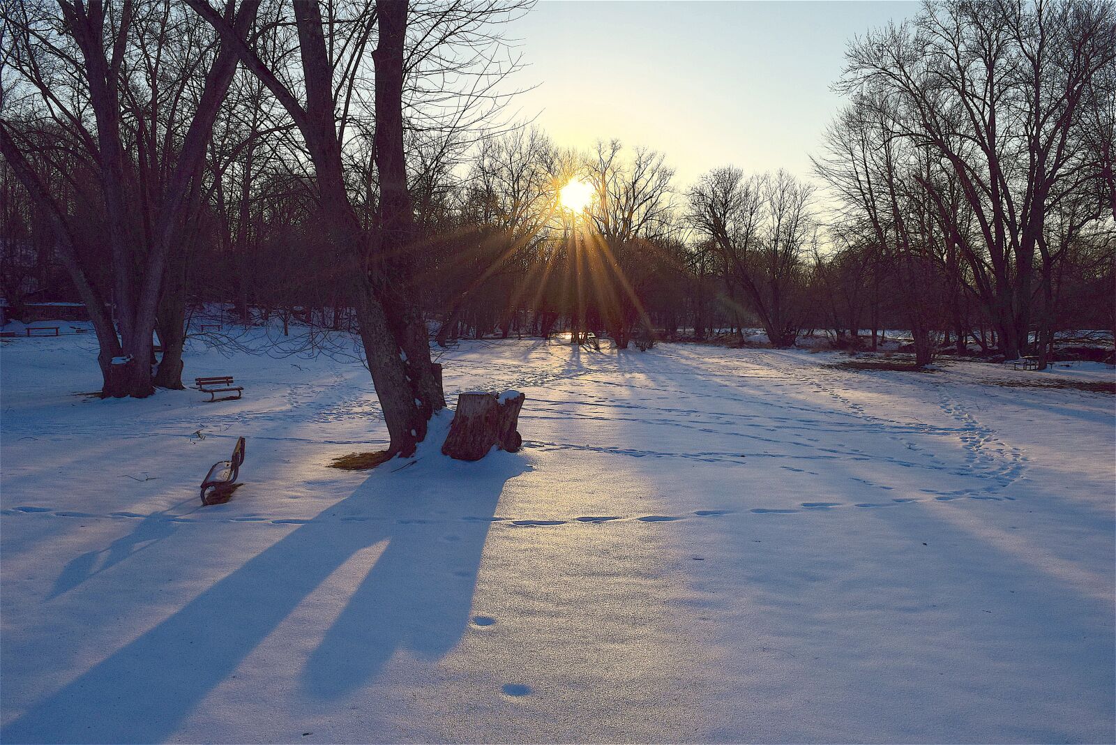 Nikon D3300 sample photo. Snow, park, sunset photography