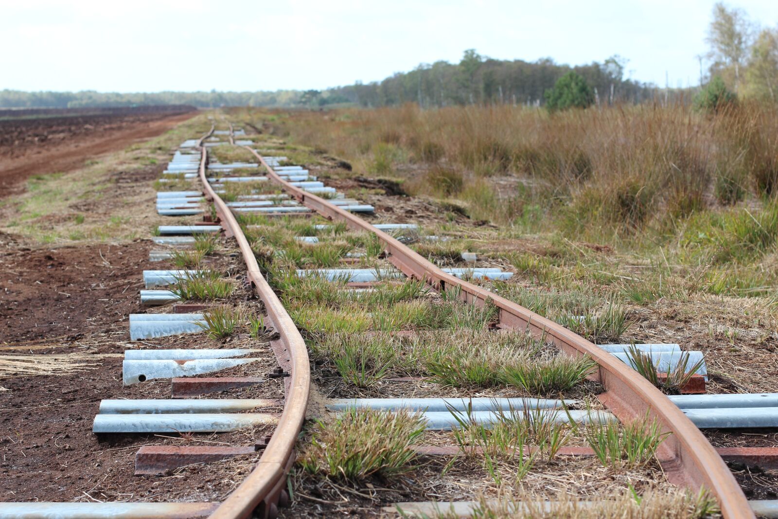 Canon EOS 600D (Rebel EOS T3i / EOS Kiss X5) + Canon EF 50mm F1.4 USM sample photo. Railway rails, rails, track photography