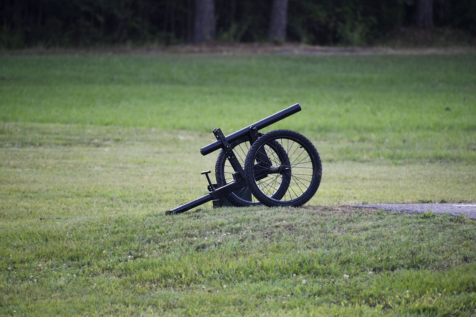 Nikon D3500 sample photo. Canon, 4th of july photography