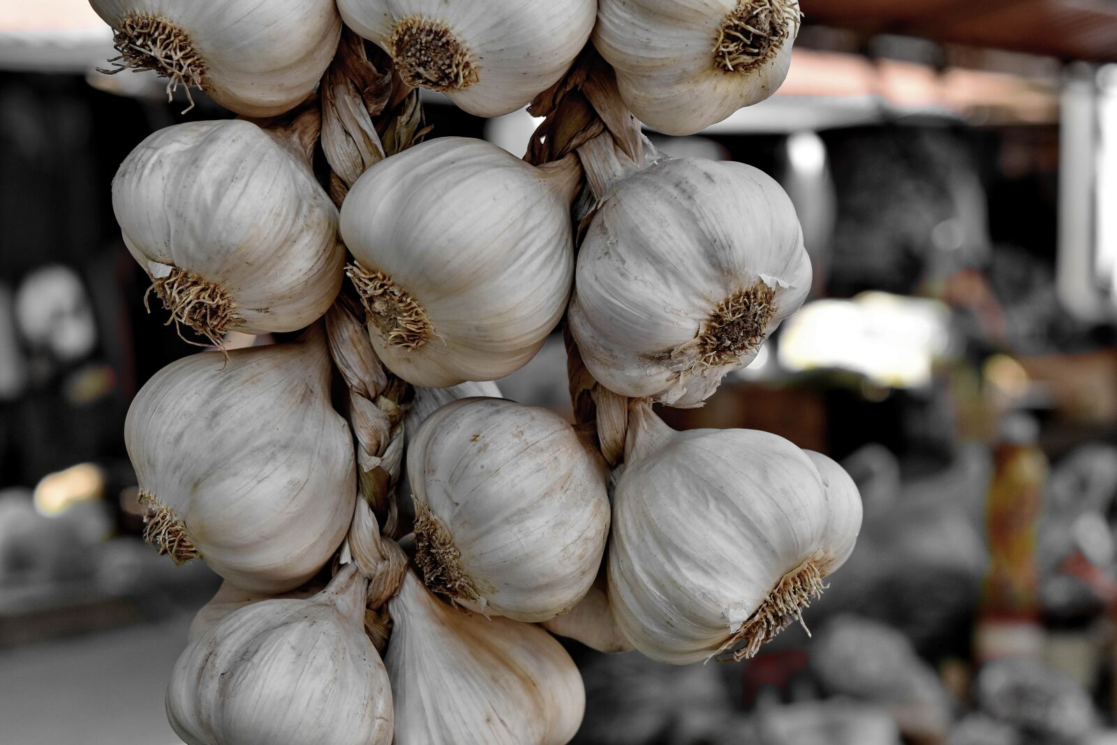 Nikon D5500 sample photo. Organic, vegetable, food, garlic photography