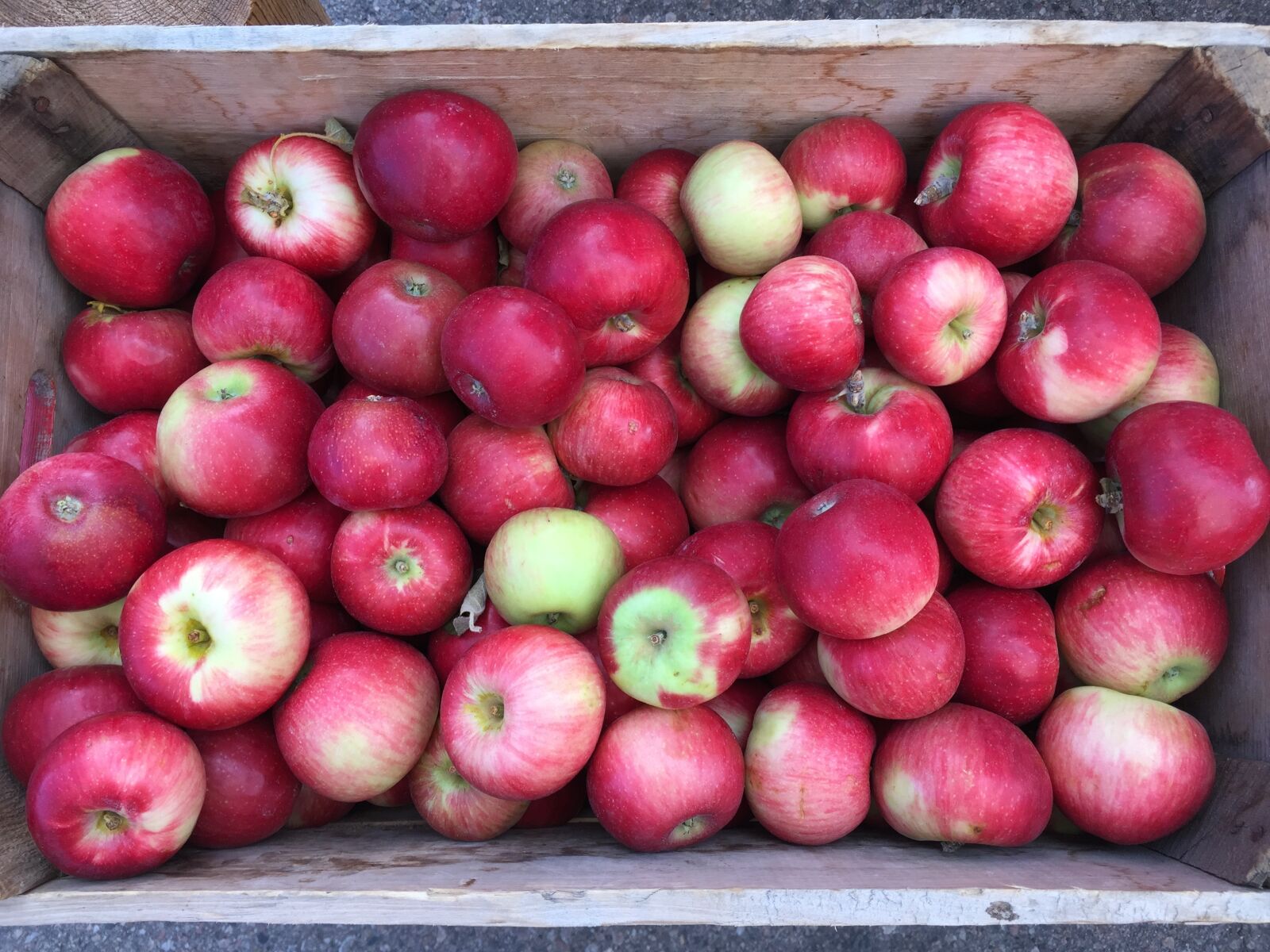 Apple iPhone 6 sample photo. Apples, farmers market, basket photography