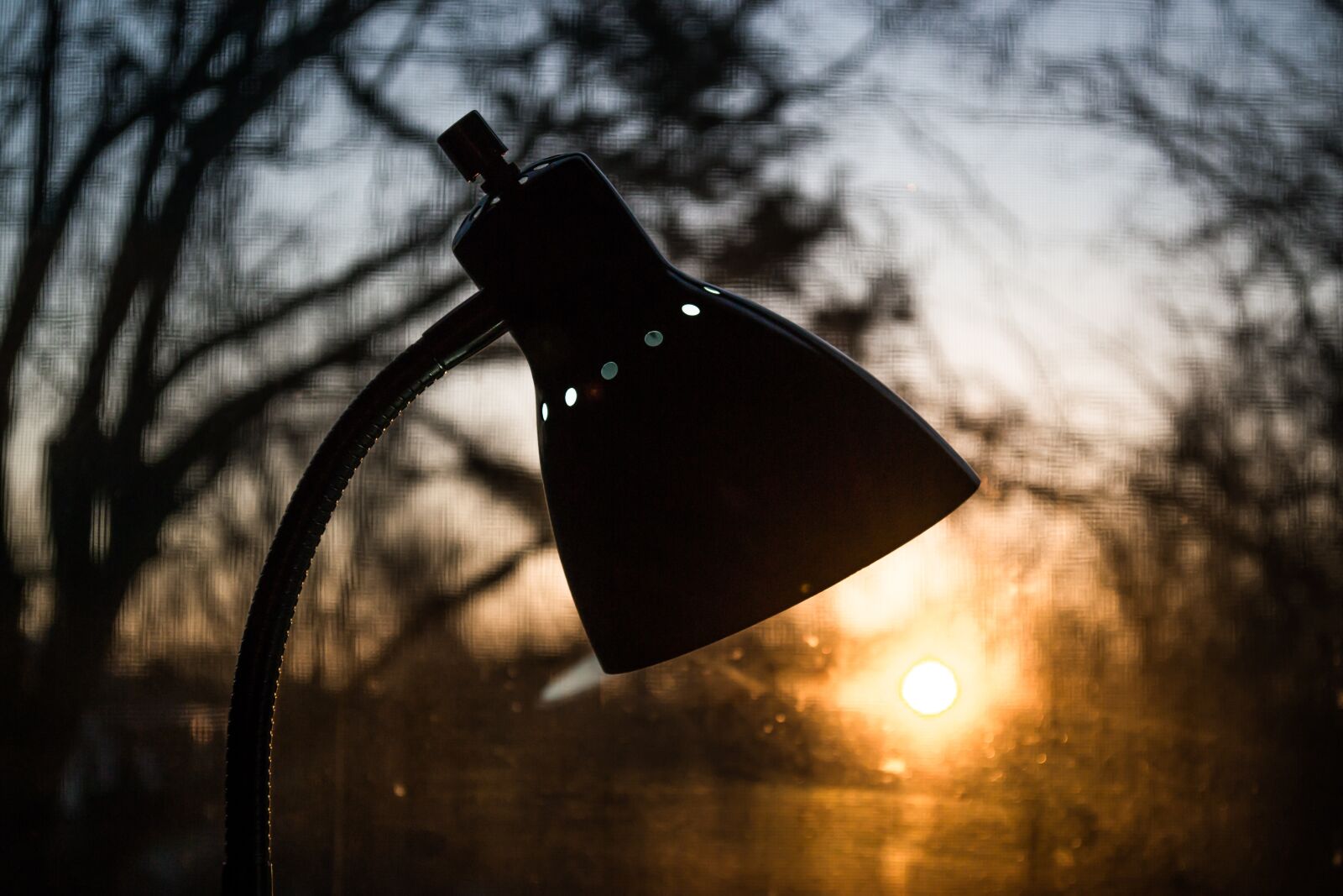 Nikon D3100 sample photo. Outdoors, nature, dawn photography
