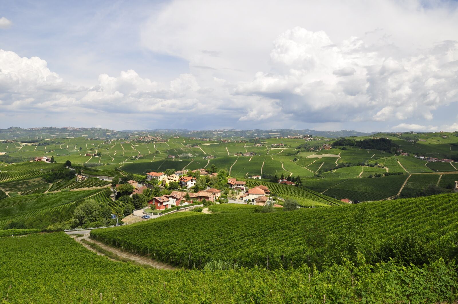 Nikon D5000 sample photo. Vineyards, landscape, hills photography