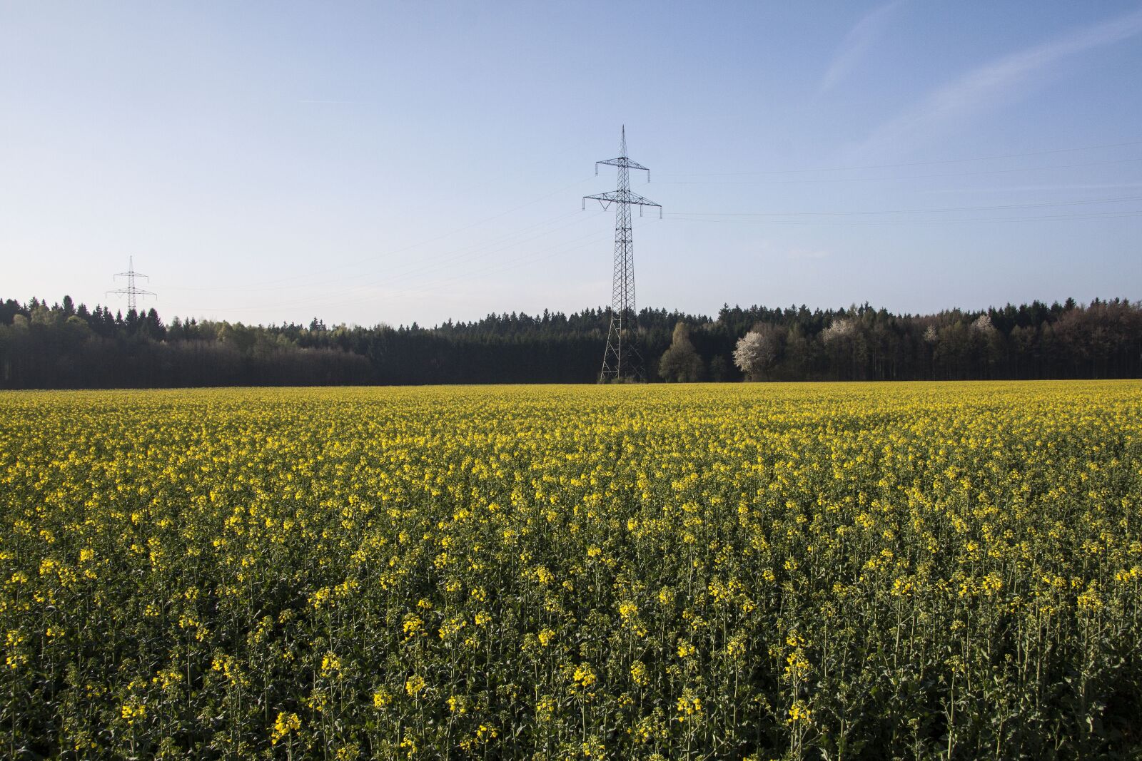 Canon EF-S 17-85mm F4-5.6 IS USM sample photo. Oilseed rape, agricultural operation photography