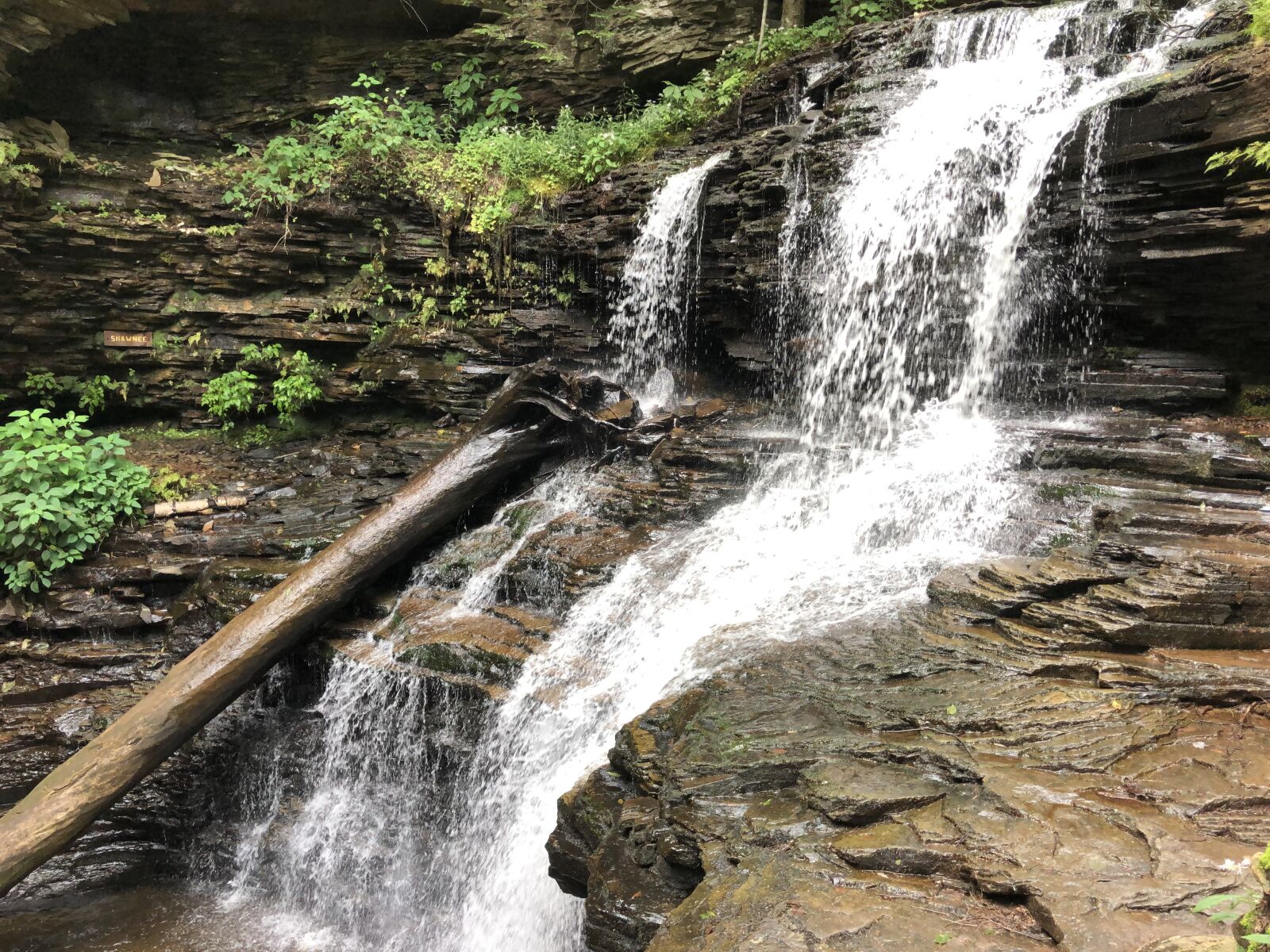 iPhone X back dual camera 4mm f/1.8 sample photo. Waterfall, nature, river photography