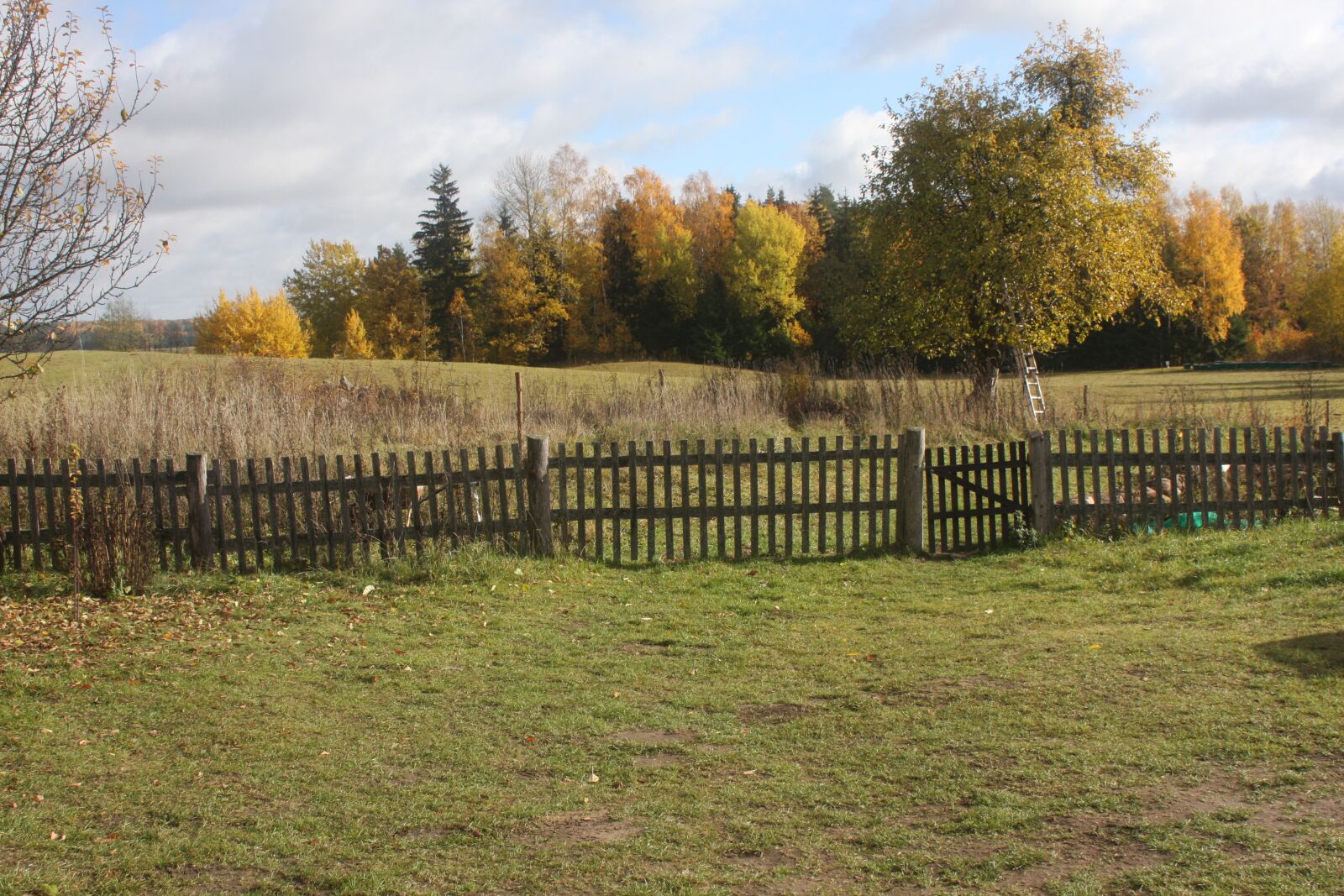 Canon EOS 40D sample photo. Meadow, autumn, village photography