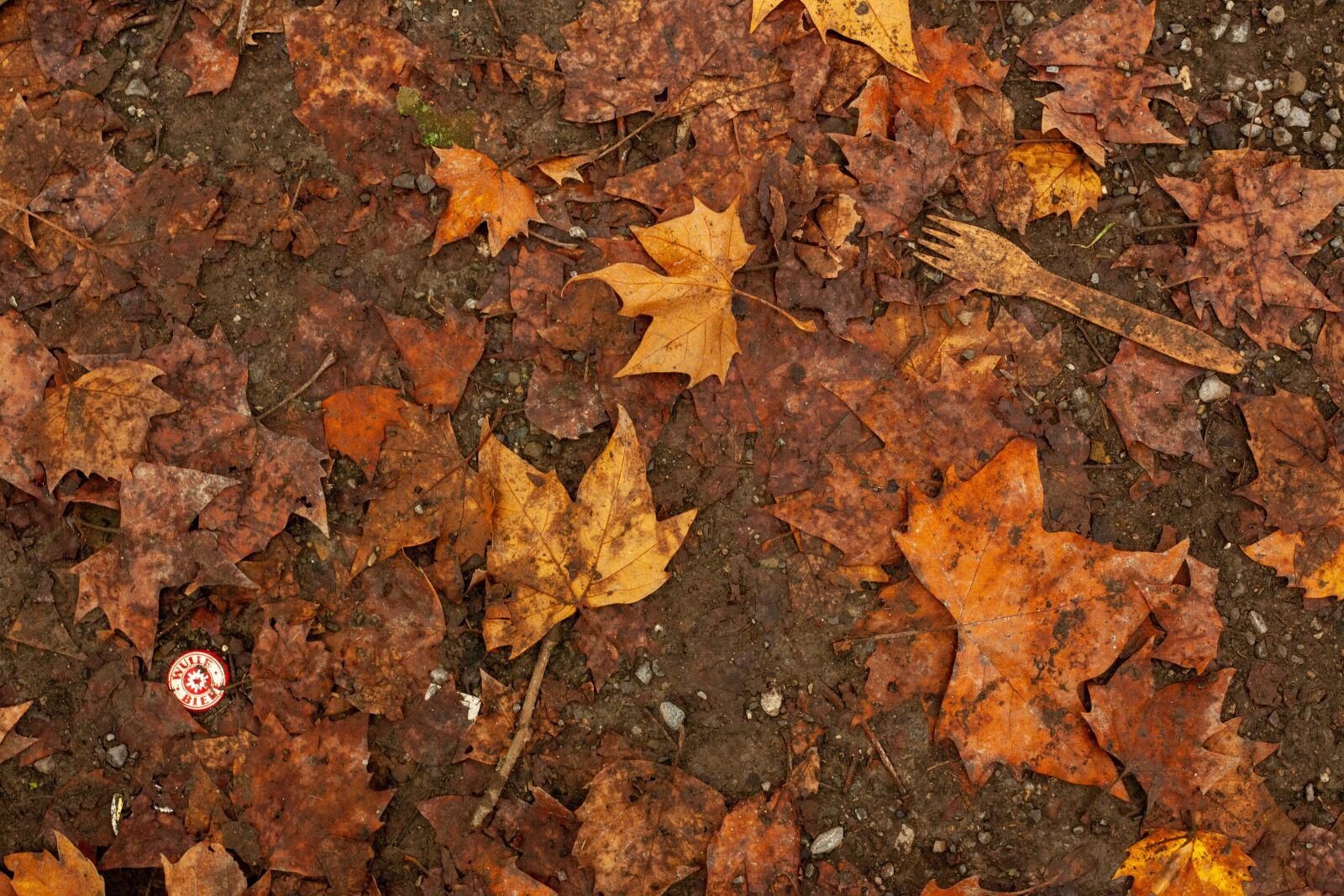 Canon EF 50mm F1.8 II sample photo. Crown cork, leaves, orange photography