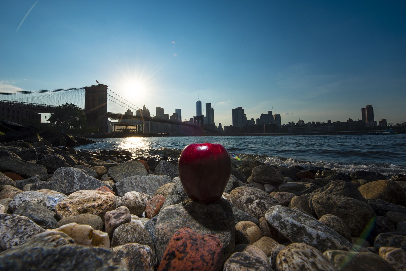Nikon D800 sample photo. Apple, new york, new photography