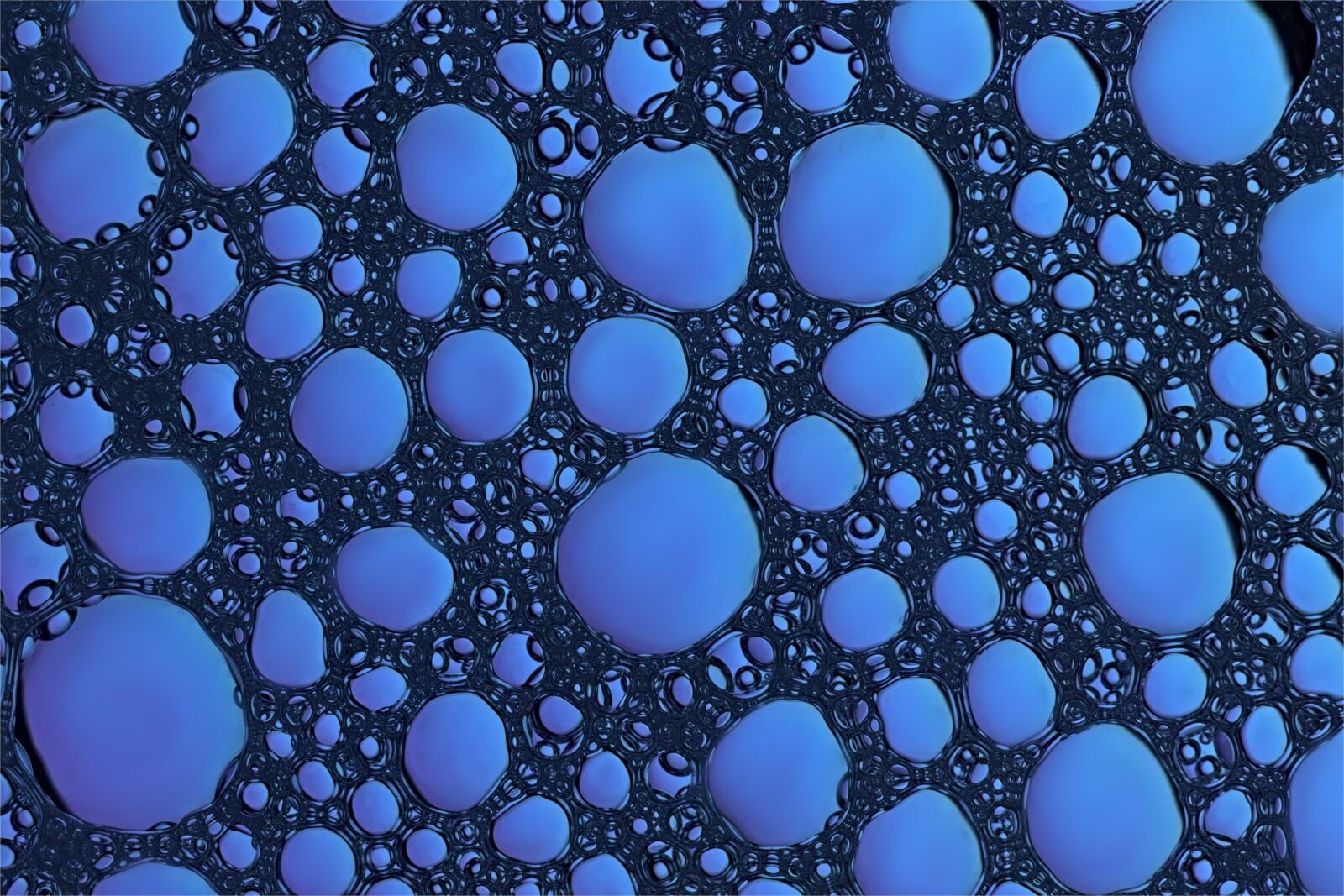 Canon EOS 77D (EOS 9000D / EOS 770D) sample photo. Background, color, pattern photography