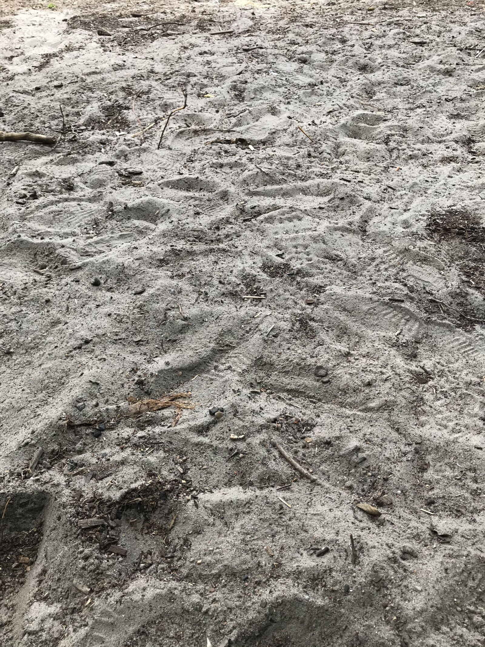 iPhone 7 back camera 3.99mm f/1.8 sample photo. Sand, melancholy, mourning photography