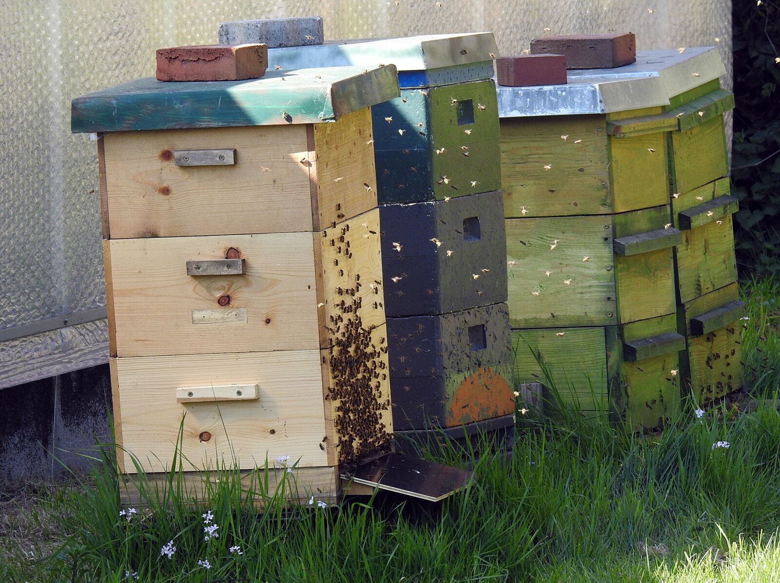 Nikon Coolpix P900 sample photo. Beekeeper, bees, bee hives photography