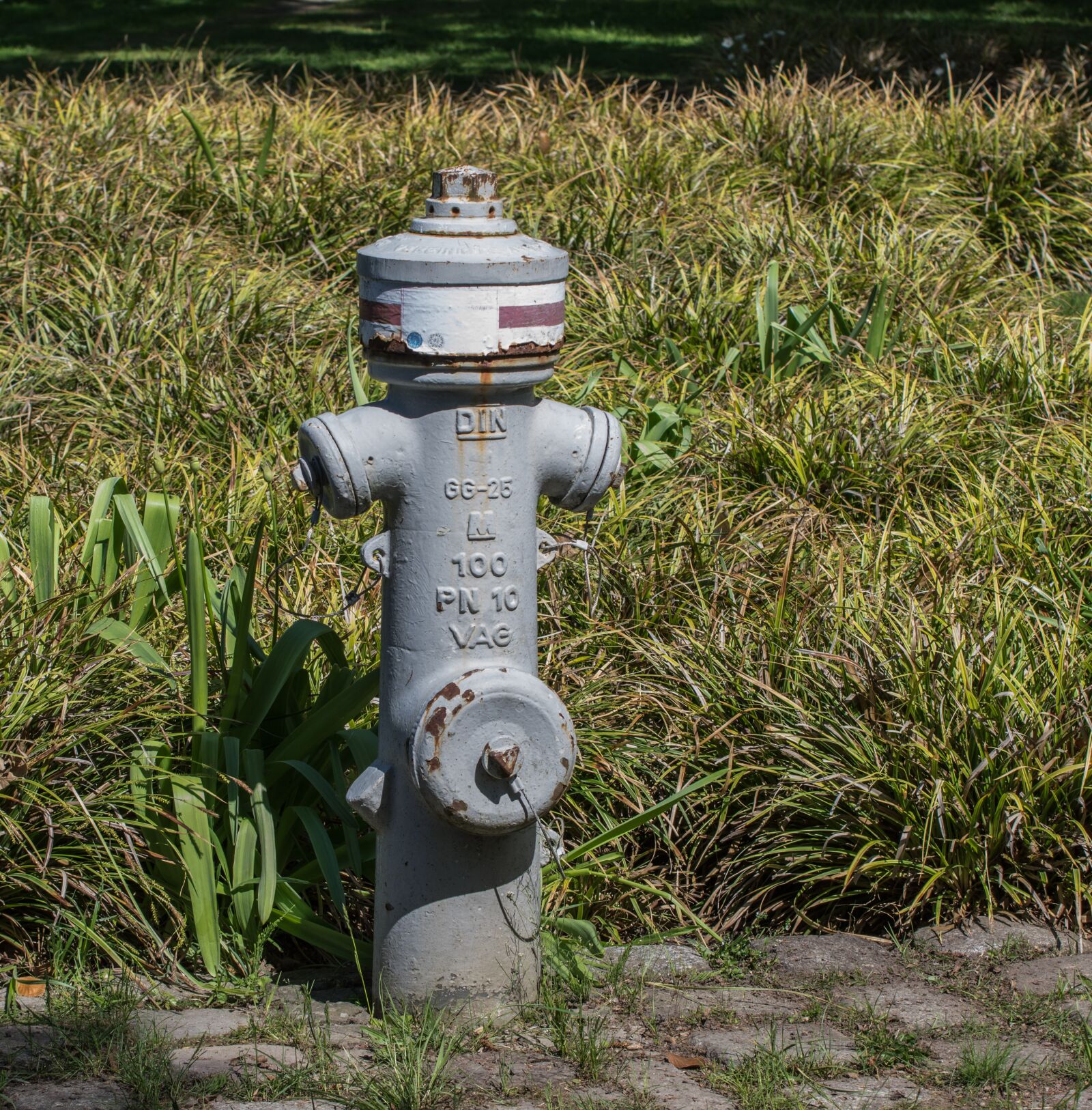 Pentax K-3 + Tamron SP AF 70-200mm F2.8 Di LD (IF) MACRO sample photo. Hydrant, water, grass photography