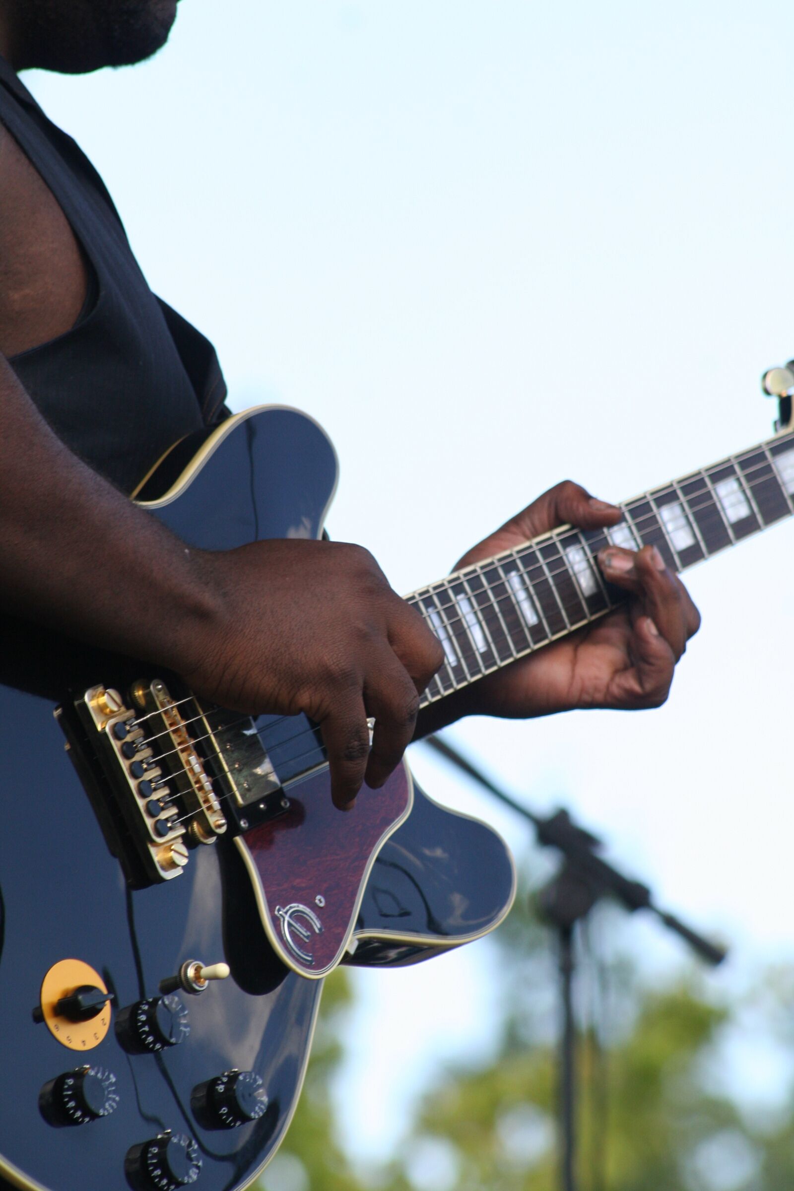 Canon EOS 20D sample photo. Concert, guitar, blues photography
