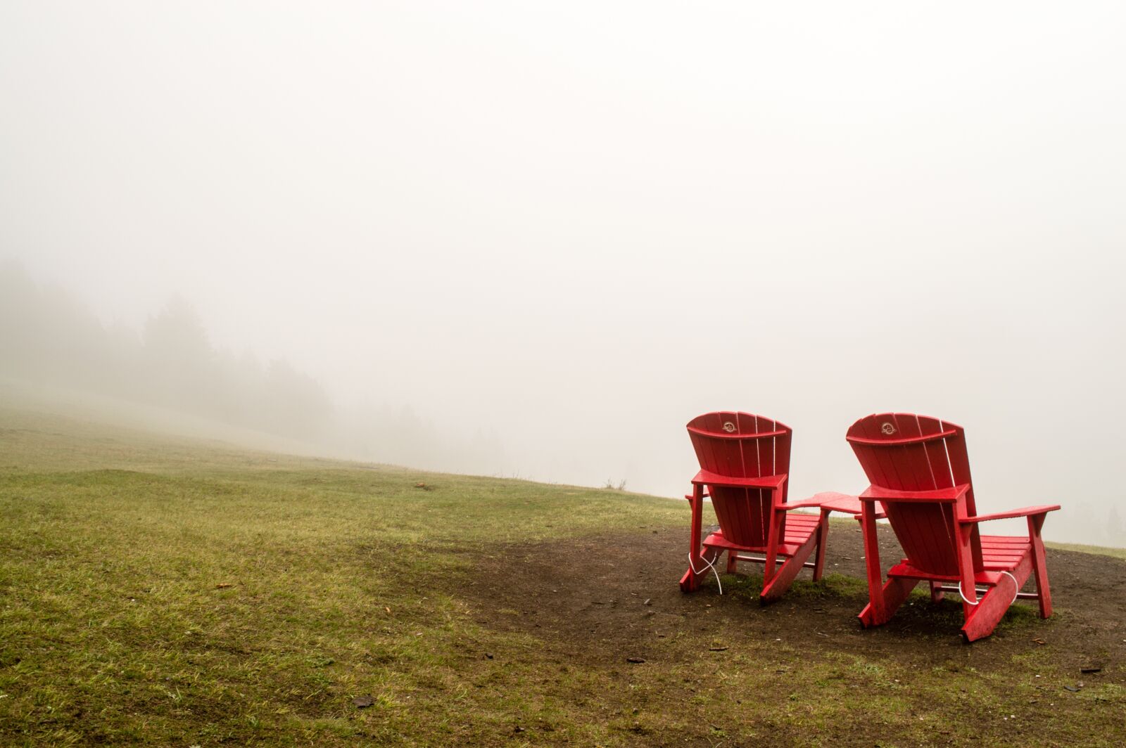 Nikon D3200 sample photo. Nature, grass, fog photography