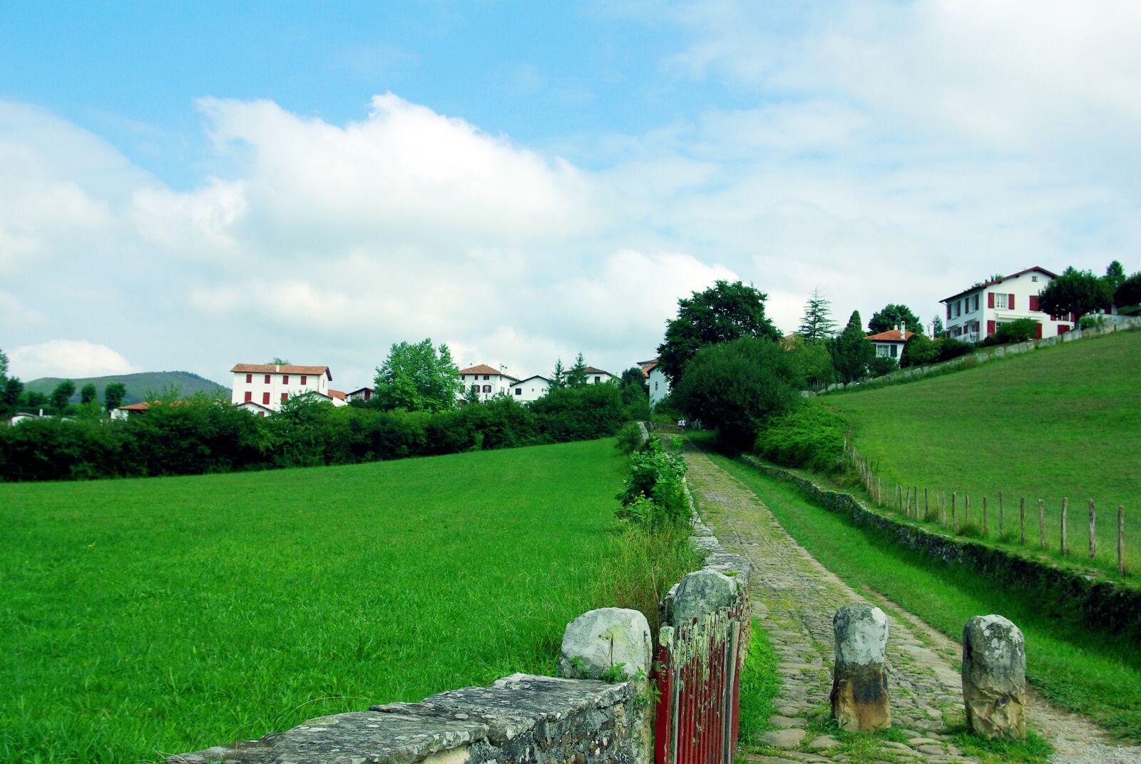 Pentax K10D sample photo. Path, basque country, prado photography
