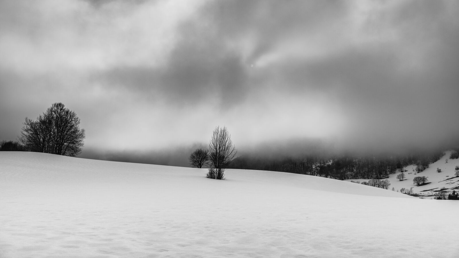 Nikon D750 sample photo. Landscape, winter, nature photography