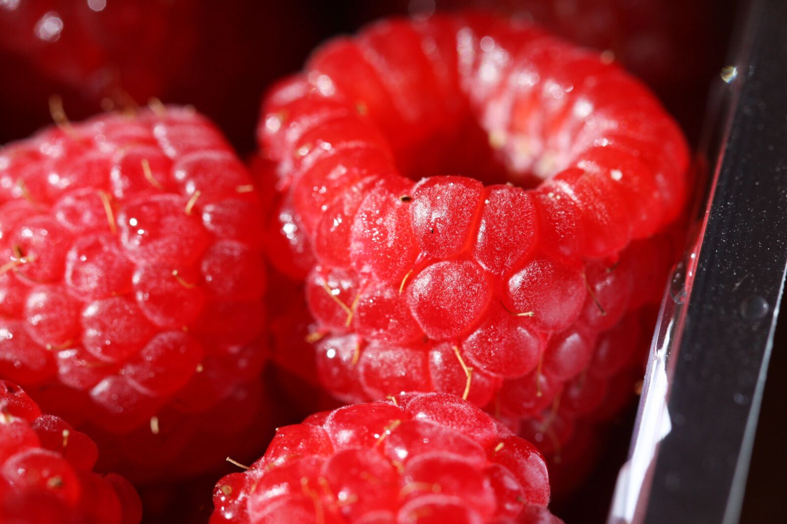 Canon EOS 40D sample photo. Raspberry, macro, vitamin photography
