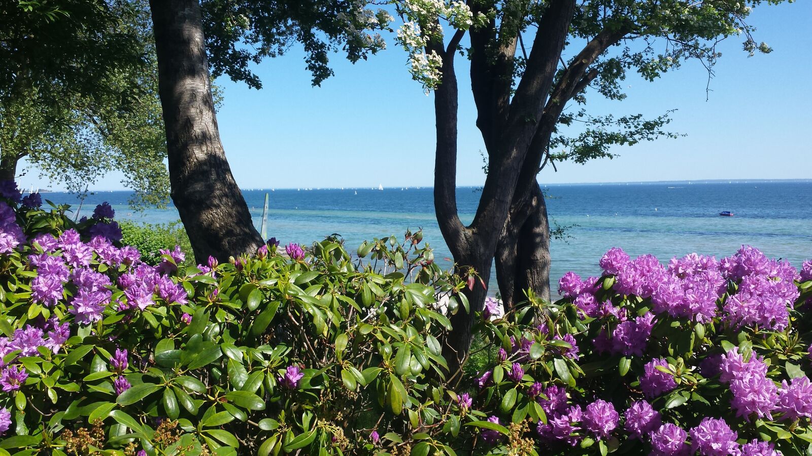 Samsung Galaxy S4 sample photo. Sea, lake, ocean photography