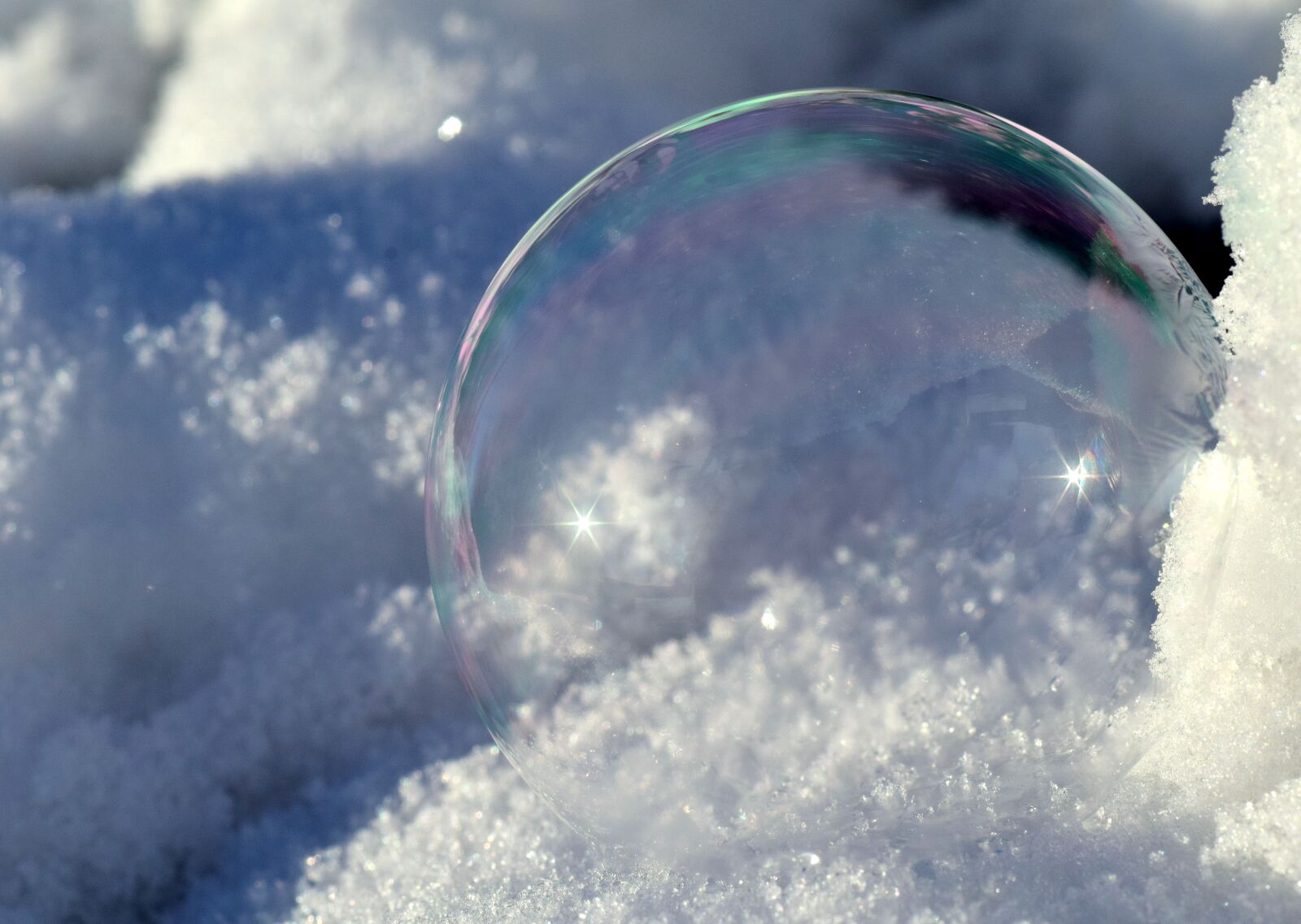 Nikon D3300 sample photo. Winter, nature, snow photography