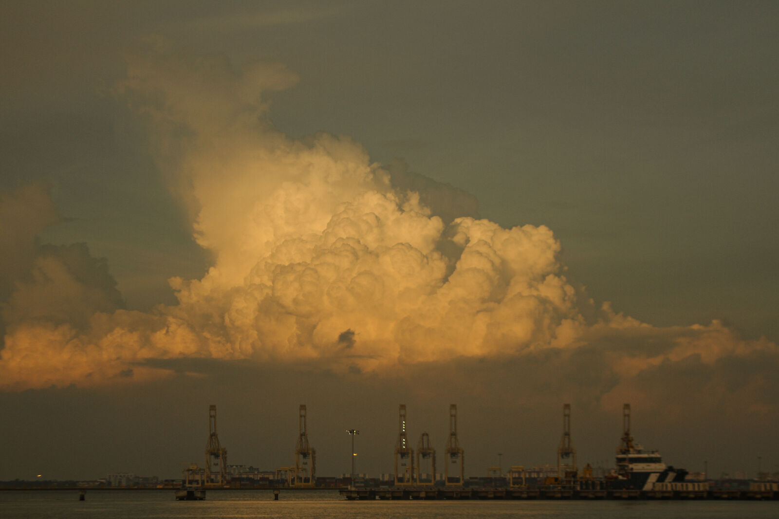 Canon EOS 7D sample photo