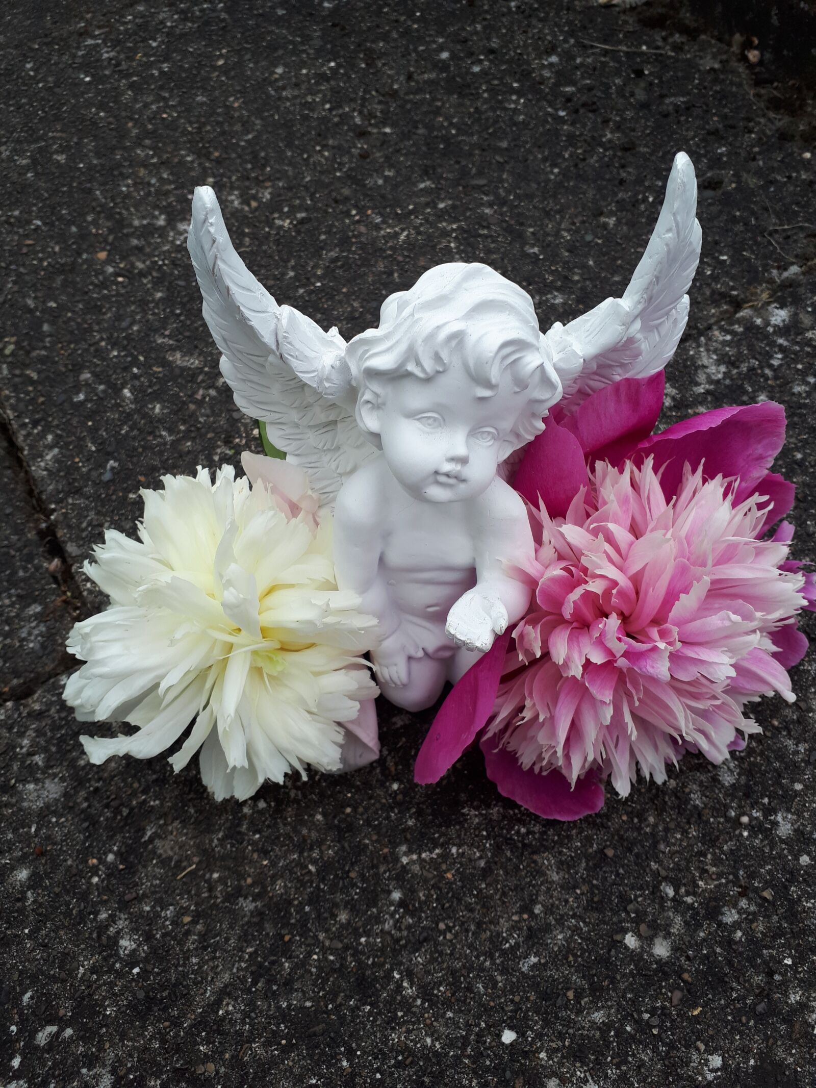 Samsung Galaxy A5(2017) sample photo. Angel, flowers, deco photography