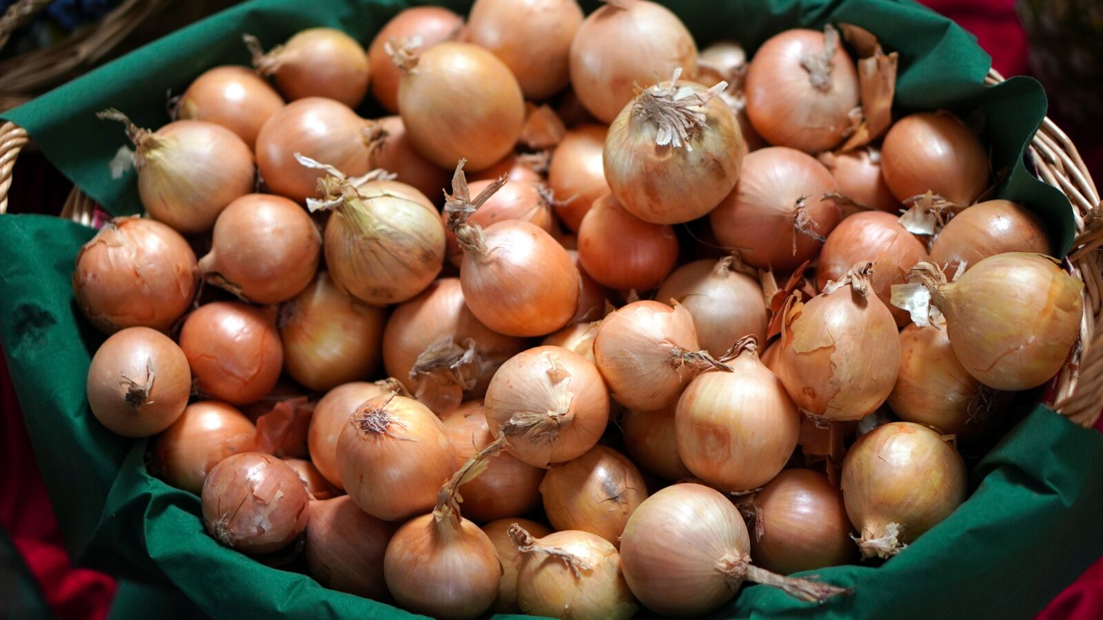 E 50mm F1.8 OSS sample photo. Onions, harvest, basket photography