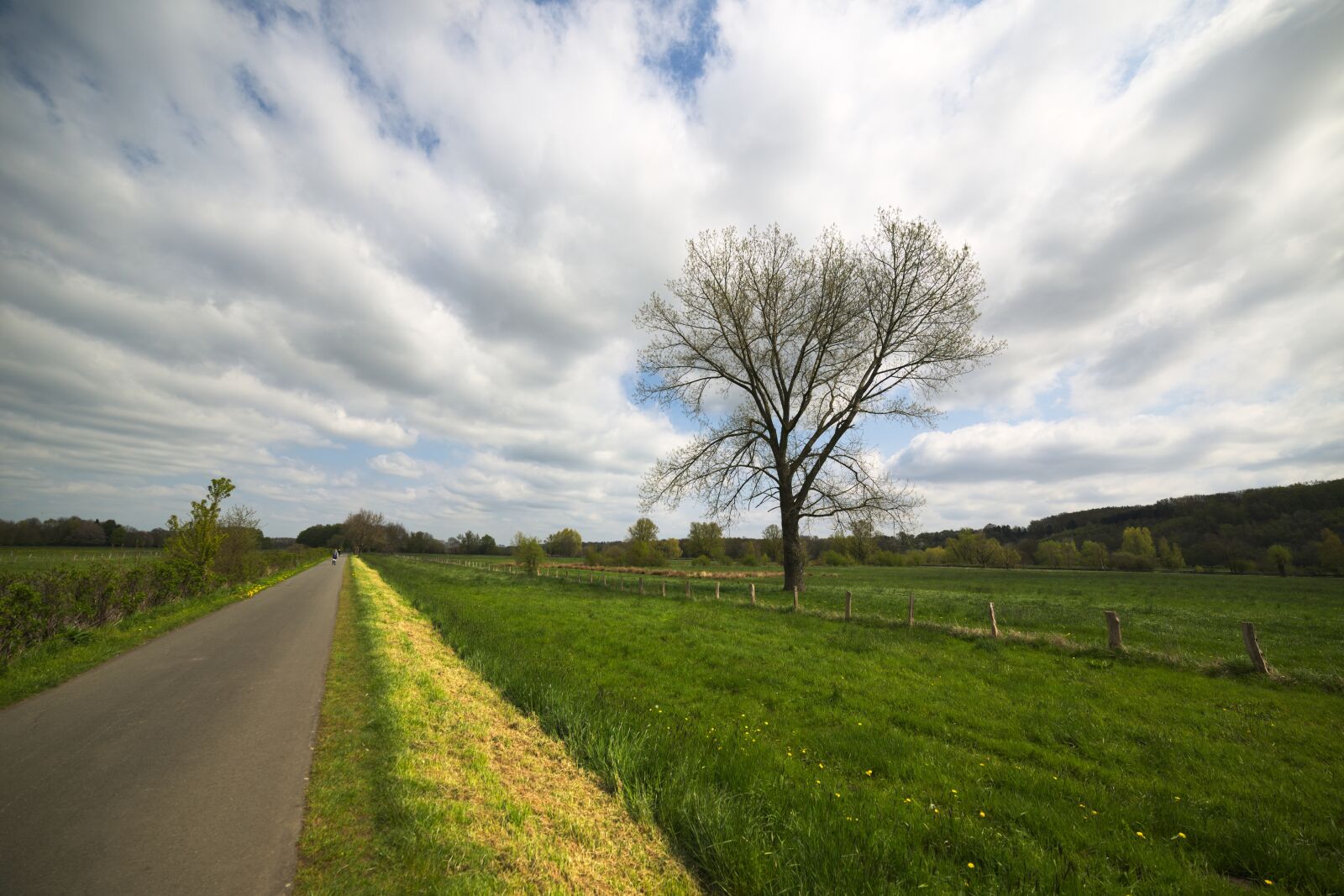 Nikon D600 sample photo. Away, nature, landscape photography