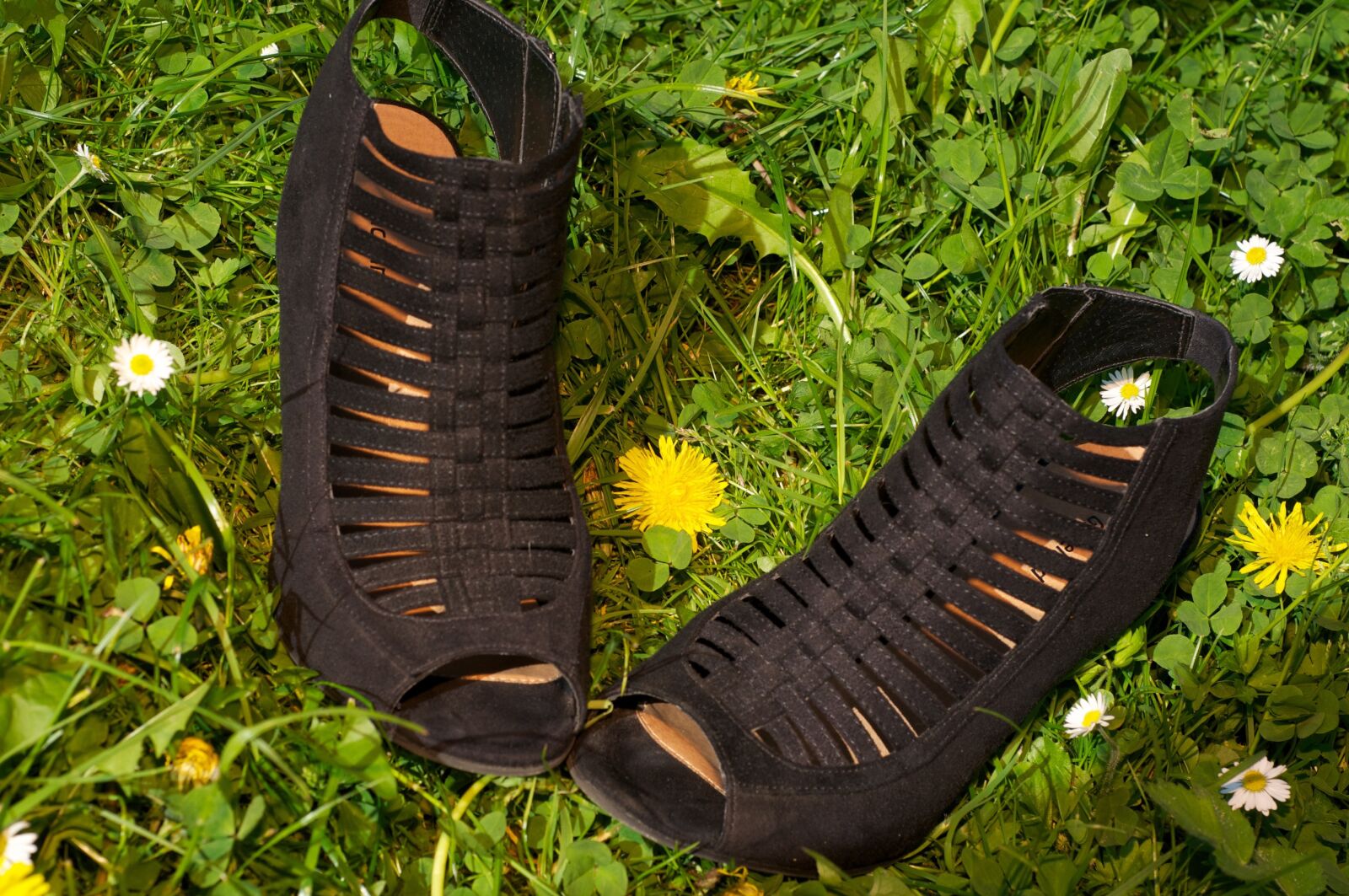 Nikon D90 sample photo. Shoes, black, pumps photography