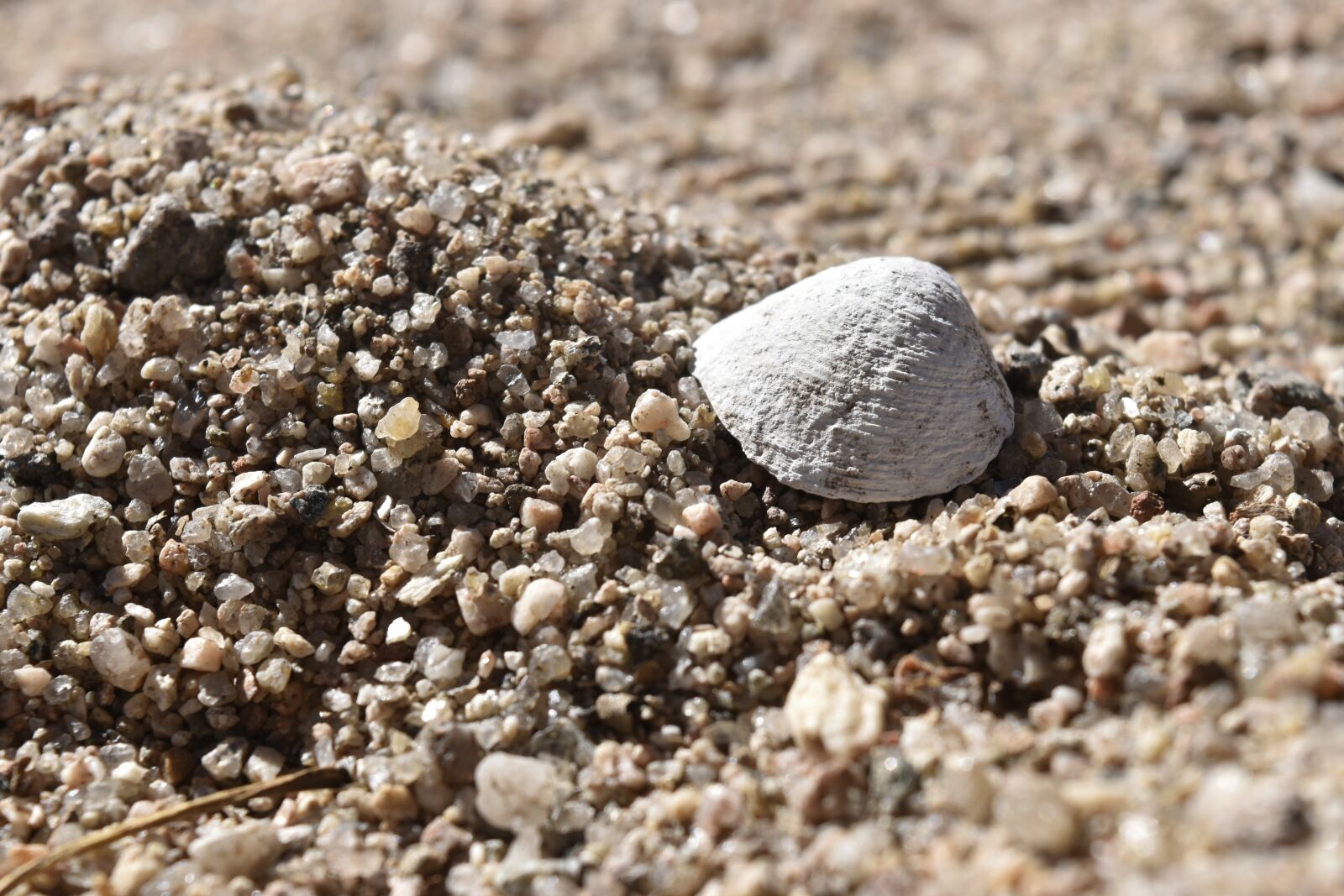 Nikon D5500 sample photo. Sand, stone, nature photography