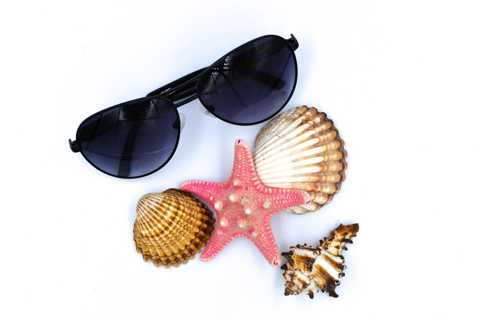 Nikon D7200 sample photo. Seashell, the tropical, nature photography