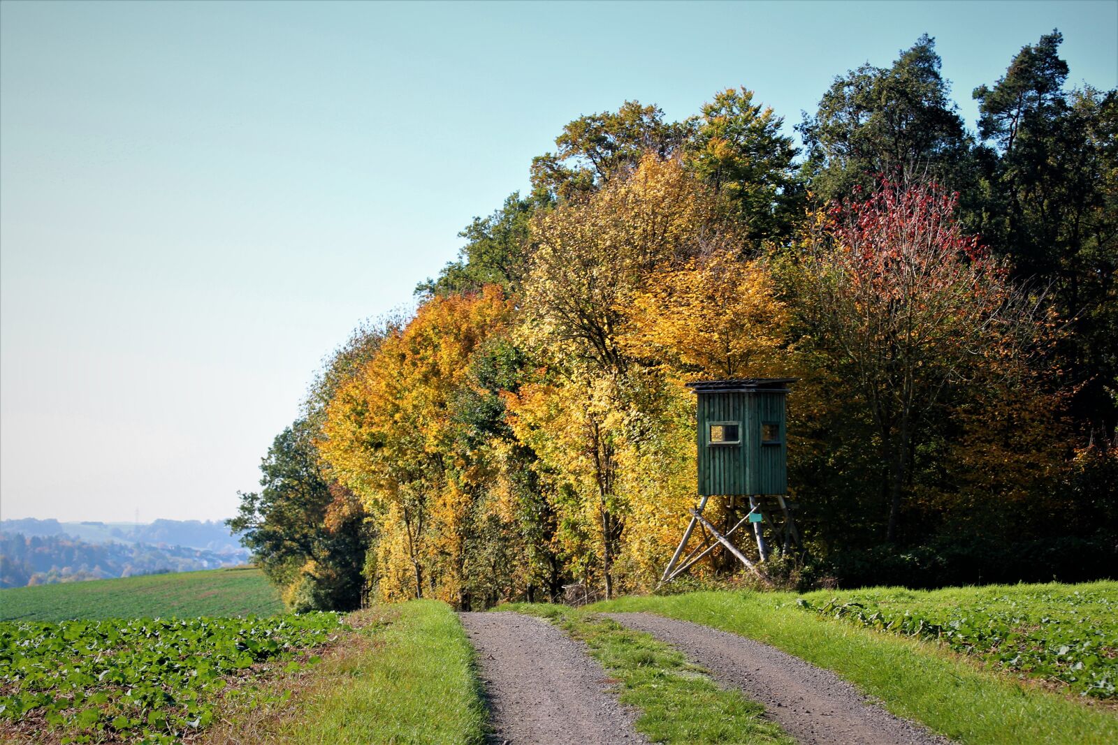 Canon EOS 600D (Rebel EOS T3i / EOS Kiss X5) sample photo. Autumn, autumn colours, colorful photography