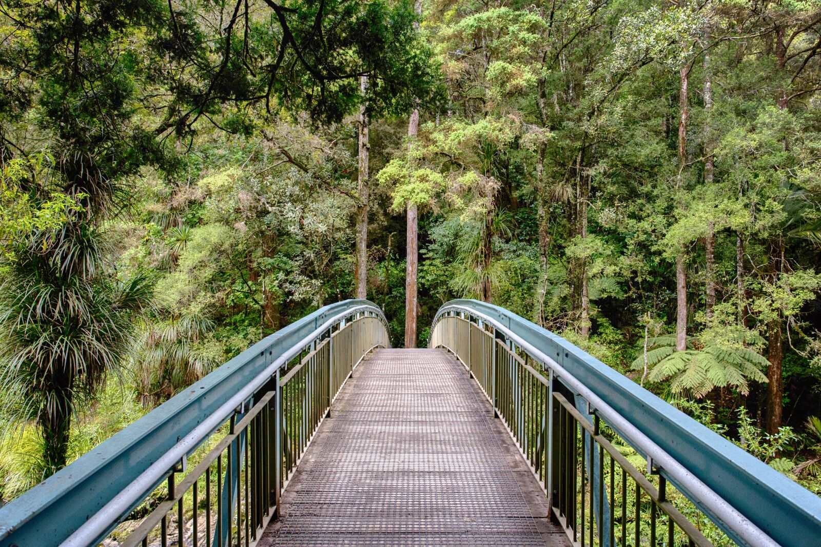 Canon EOS 6D + Canon EF 17-40mm F4L USM sample photo. Bridge, jungle, forest photography