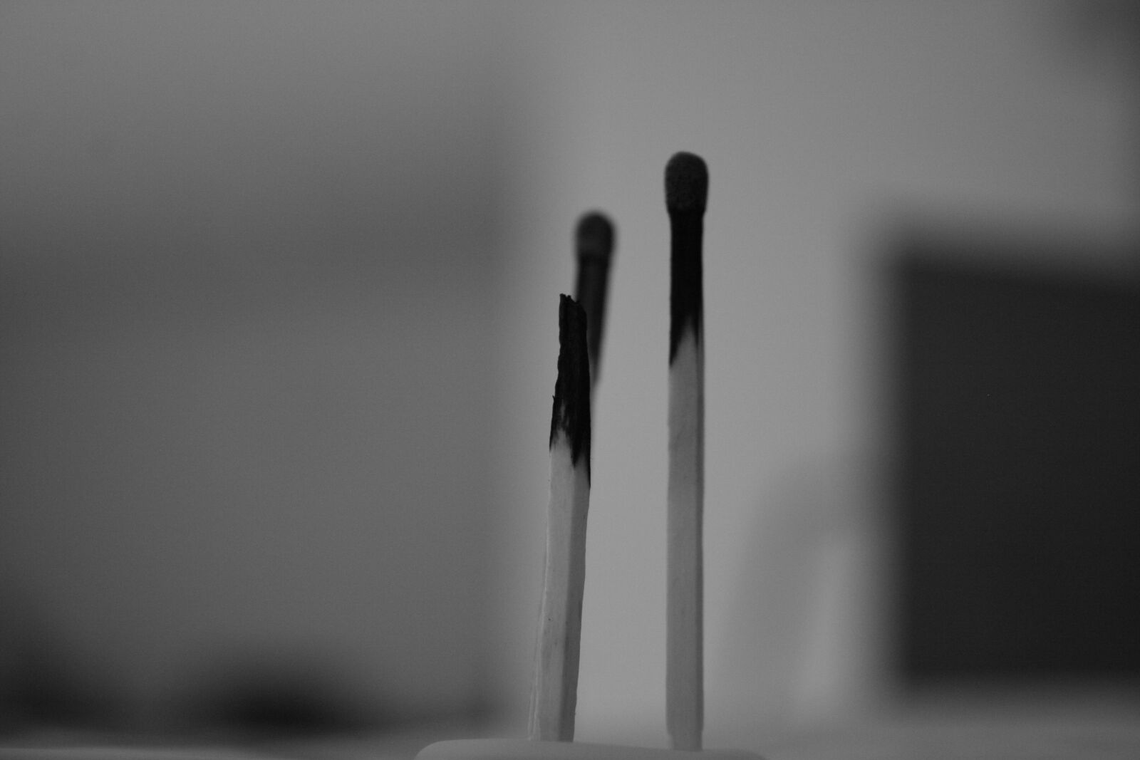 Canon EOS 400D (EOS Digital Rebel XTi / EOS Kiss Digital X) sample photo. Burnout, black and white photography