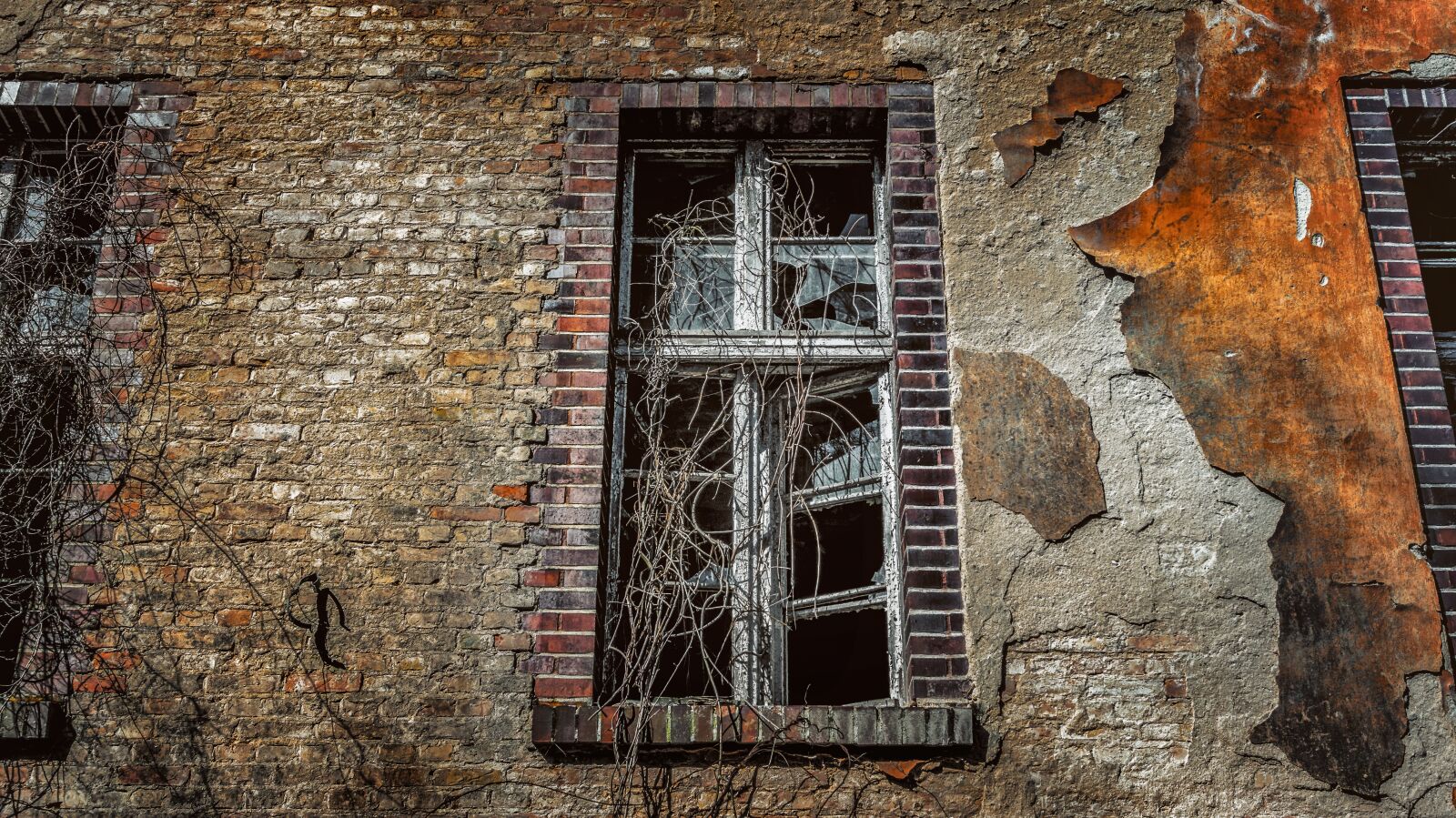 Sony Alpha a5000 (ILCE 5000) sample photo. Window, old, wall photography