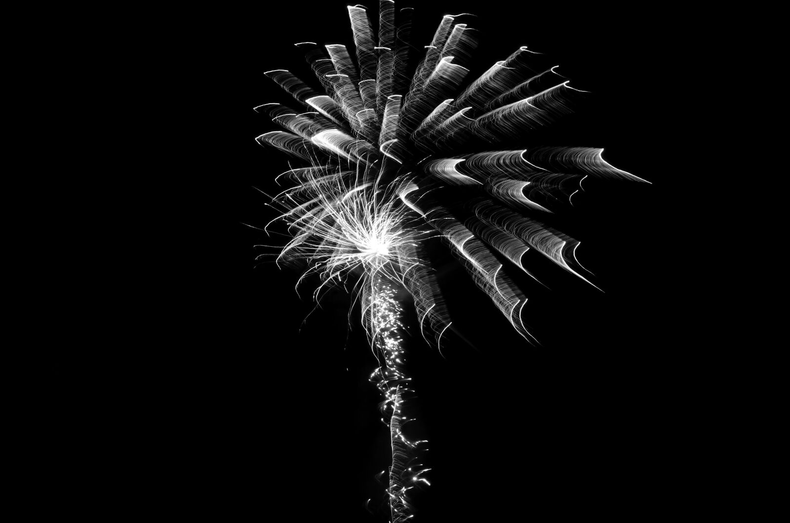 Nikon D7000 sample photo. Fireworks, black and white photography