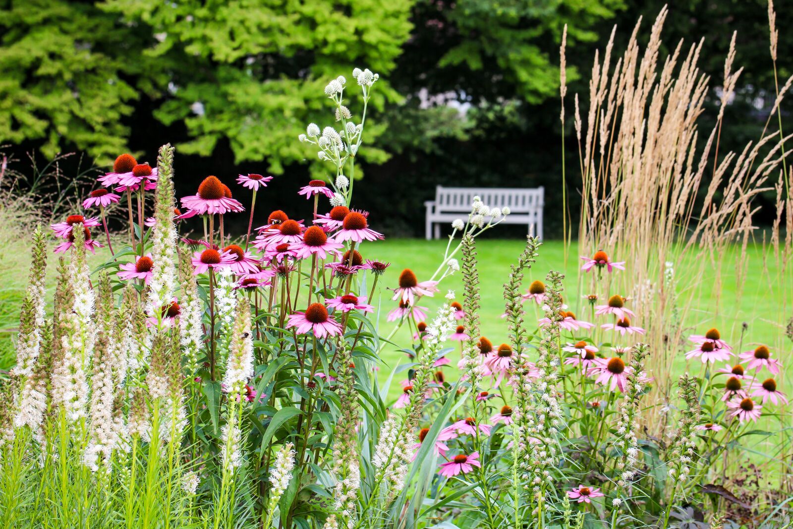 Canon EOS 700D (EOS Rebel T5i / EOS Kiss X7i) sample photo. Park bench, park, spring photography