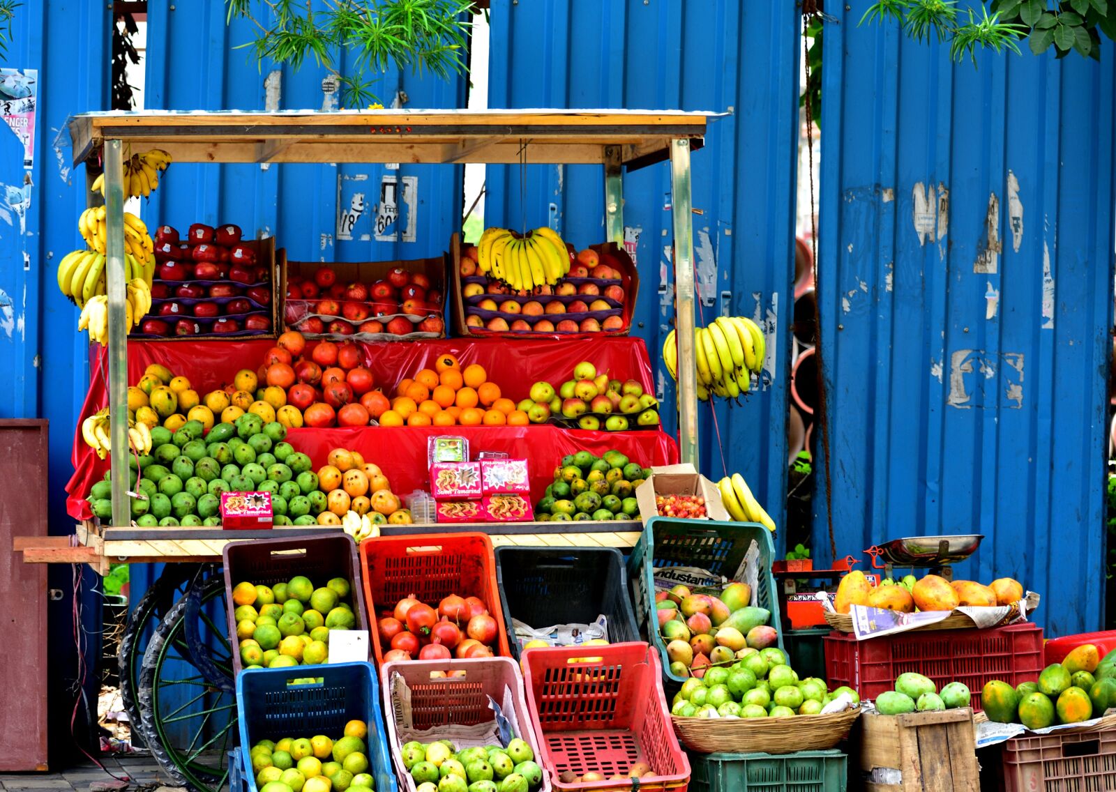Nikon D3400 sample photo. Fruits, street photography, market photography