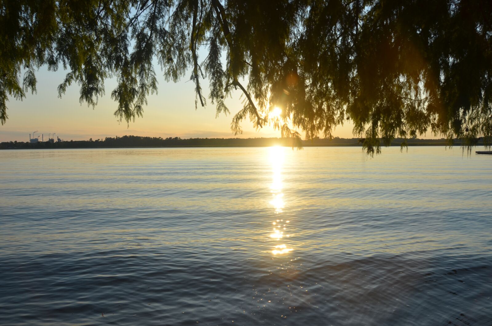 Nikon D5100 sample photo. Riverbank, sunlight, sunshine photography
