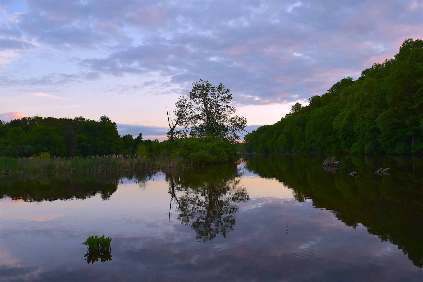 Nikon D3300 sample photo. Lake, sunset, sky photography