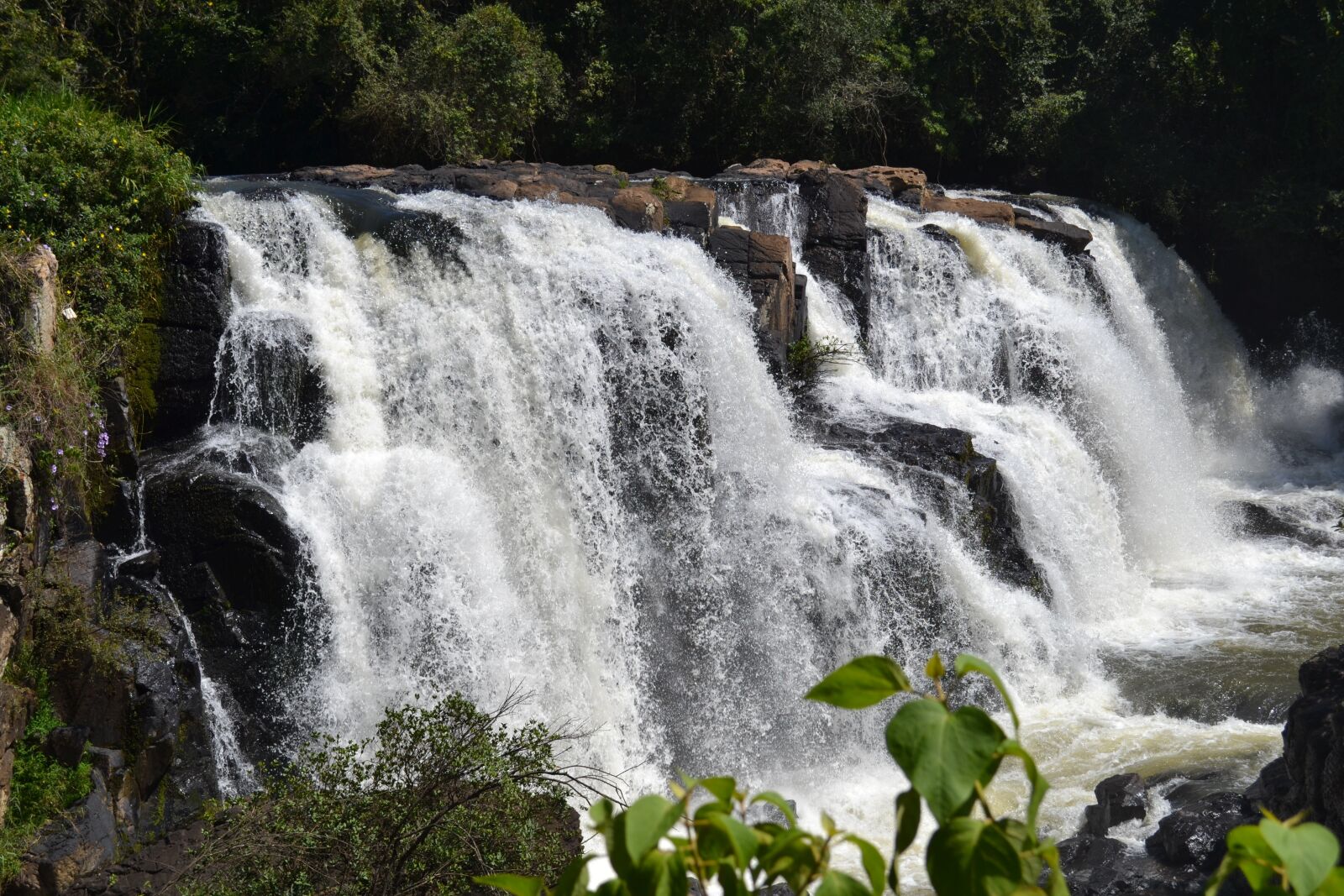 Nikon D3100 sample photo. Waterfall, nature, water photography