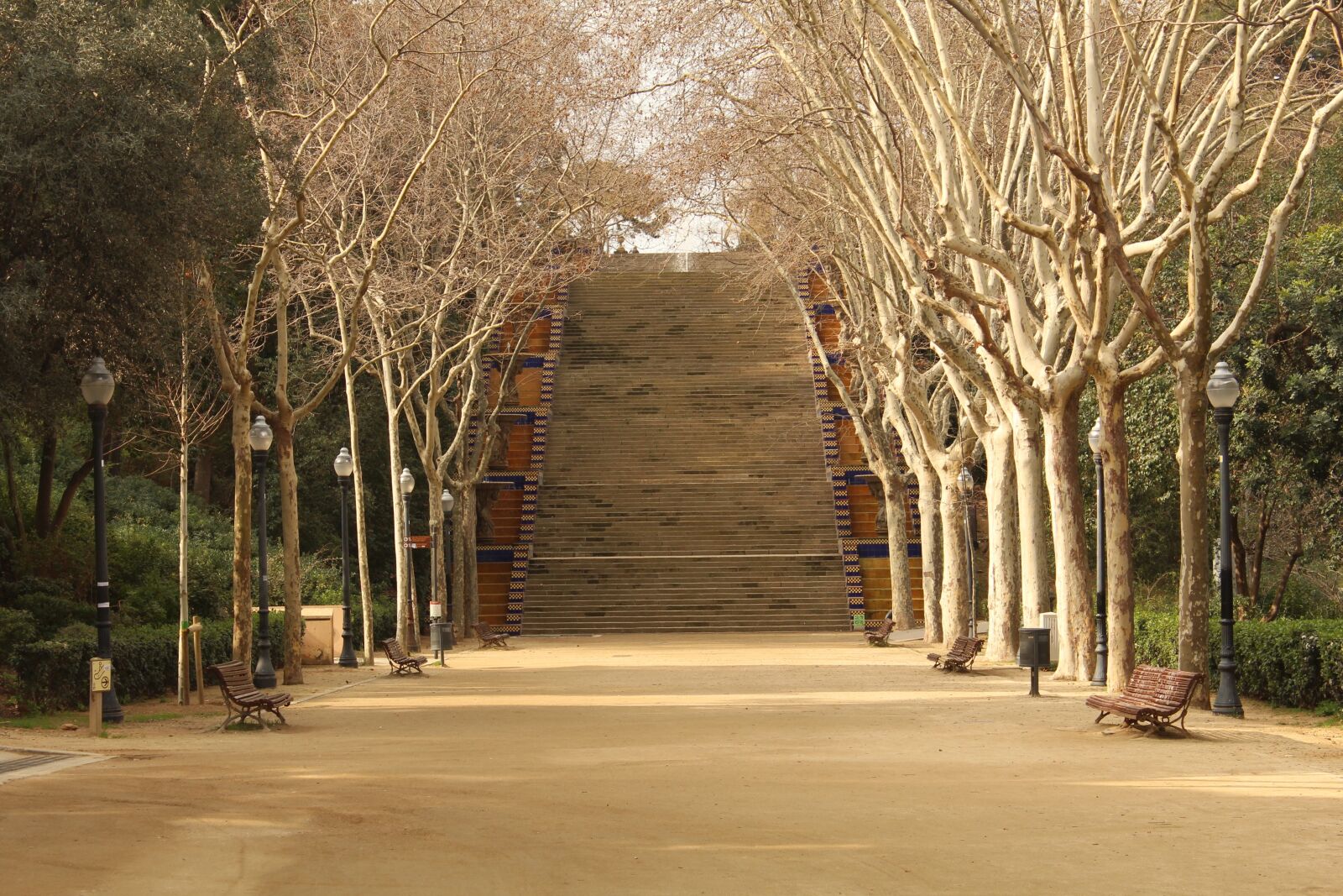 Canon EOS 1200D (EOS Rebel T5 / EOS Kiss X70 / EOS Hi) sample photo. Tree, road, wood photography