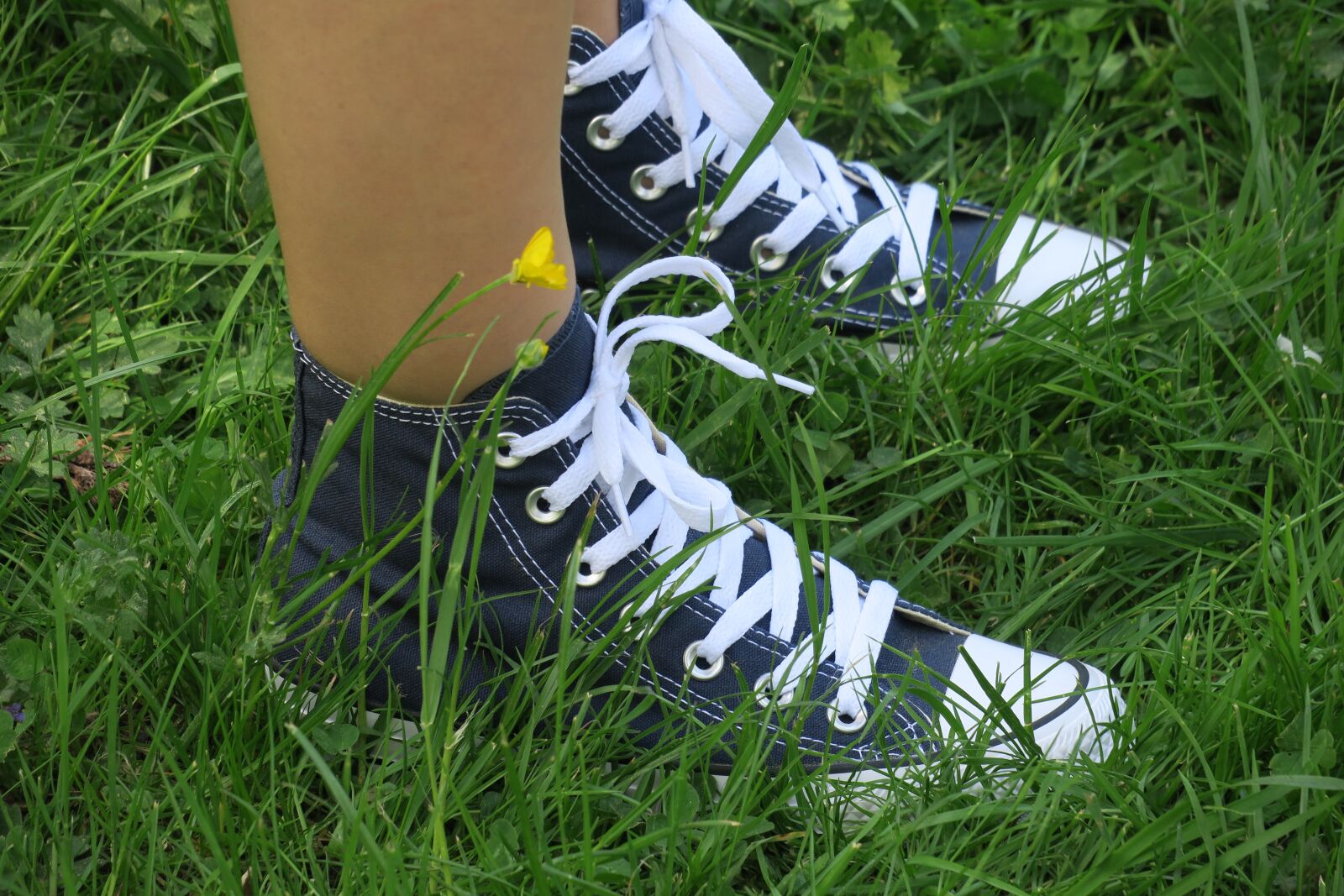 Canon PowerShot G3 X sample photo. Converse, chuck taylor, blue photography