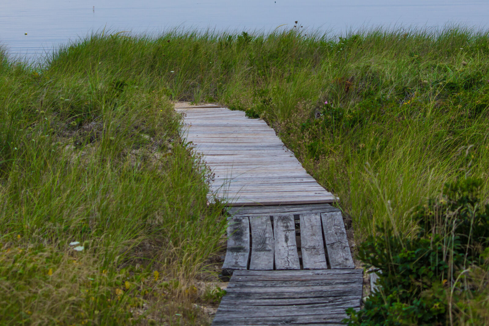 Canon EOS 600D (Rebel EOS T3i / EOS Kiss X5) sample photo. Dunes photography