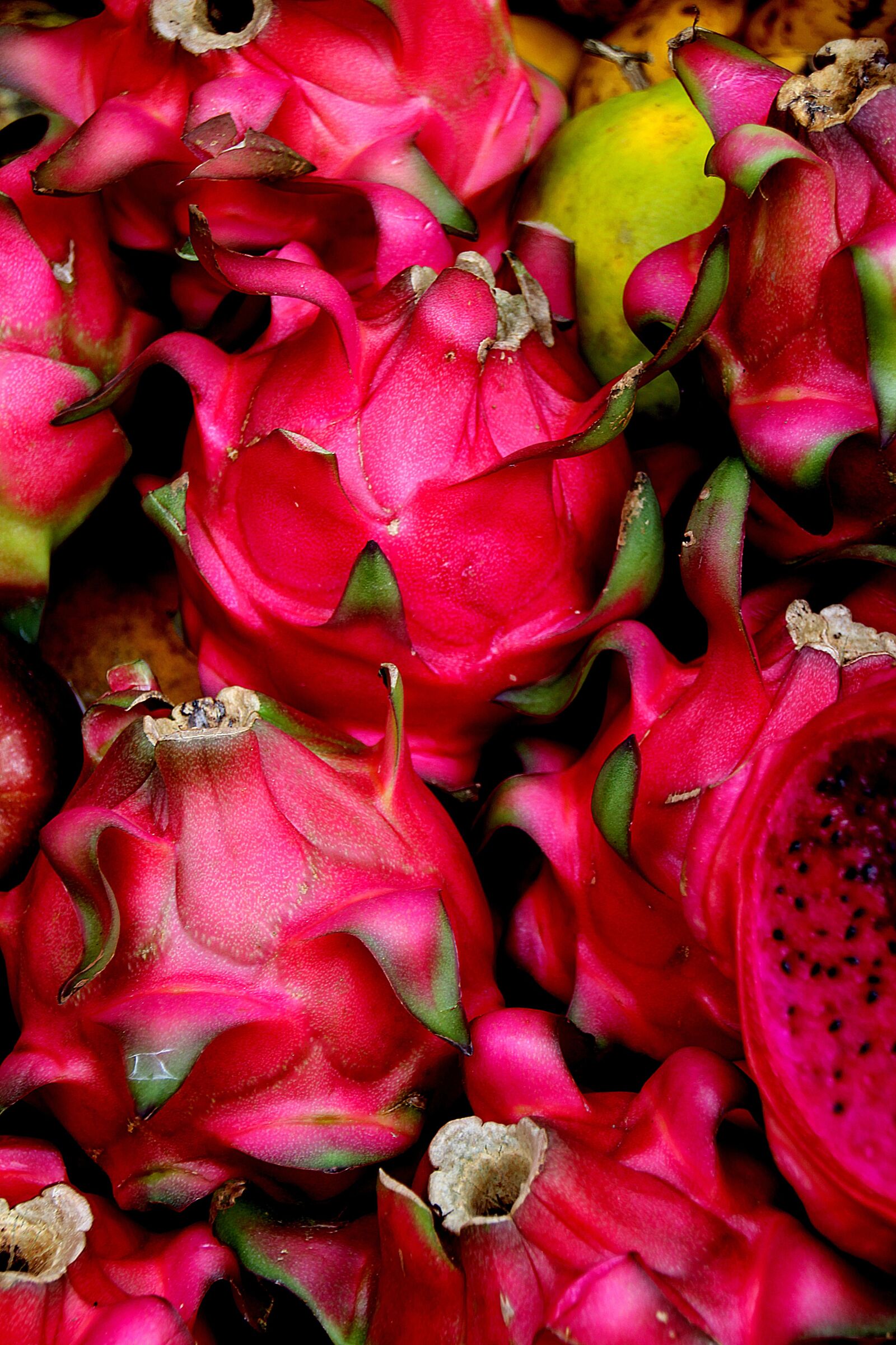 Canon EOS 700D (EOS Rebel T5i / EOS Kiss X7i) sample photo. Bali, red fruits, exotic photography