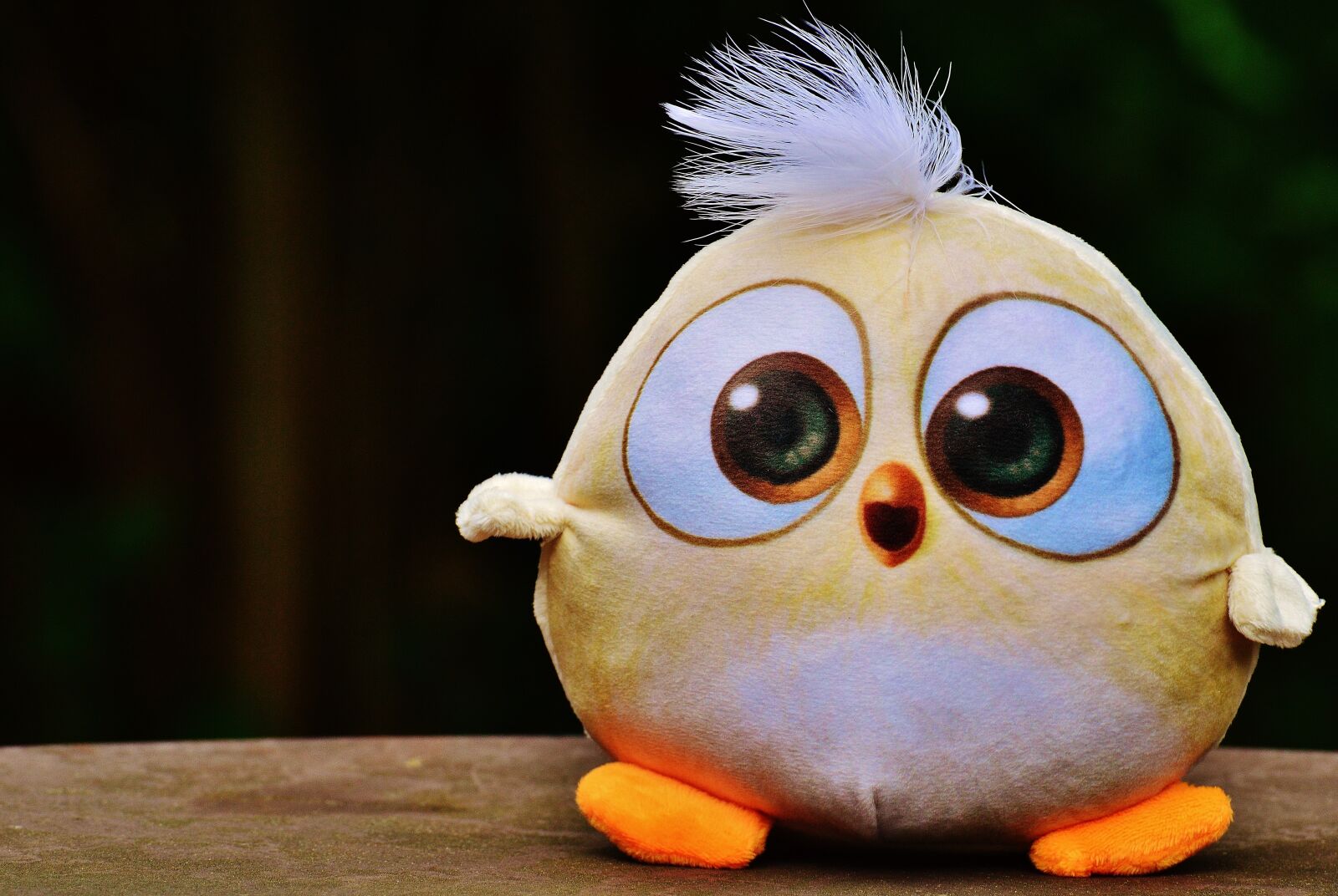 Nikon D3200 sample photo. Bird, birdie, plush photography