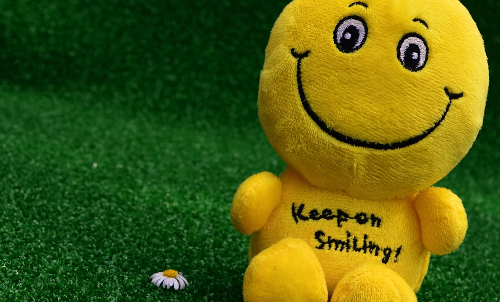 Nikon D7200 sample photo. Smiley, happy, funny photography