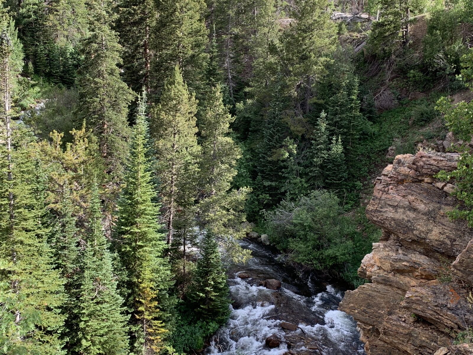 Apple iPhone XR sample photo. Trees, stream, cliff photography